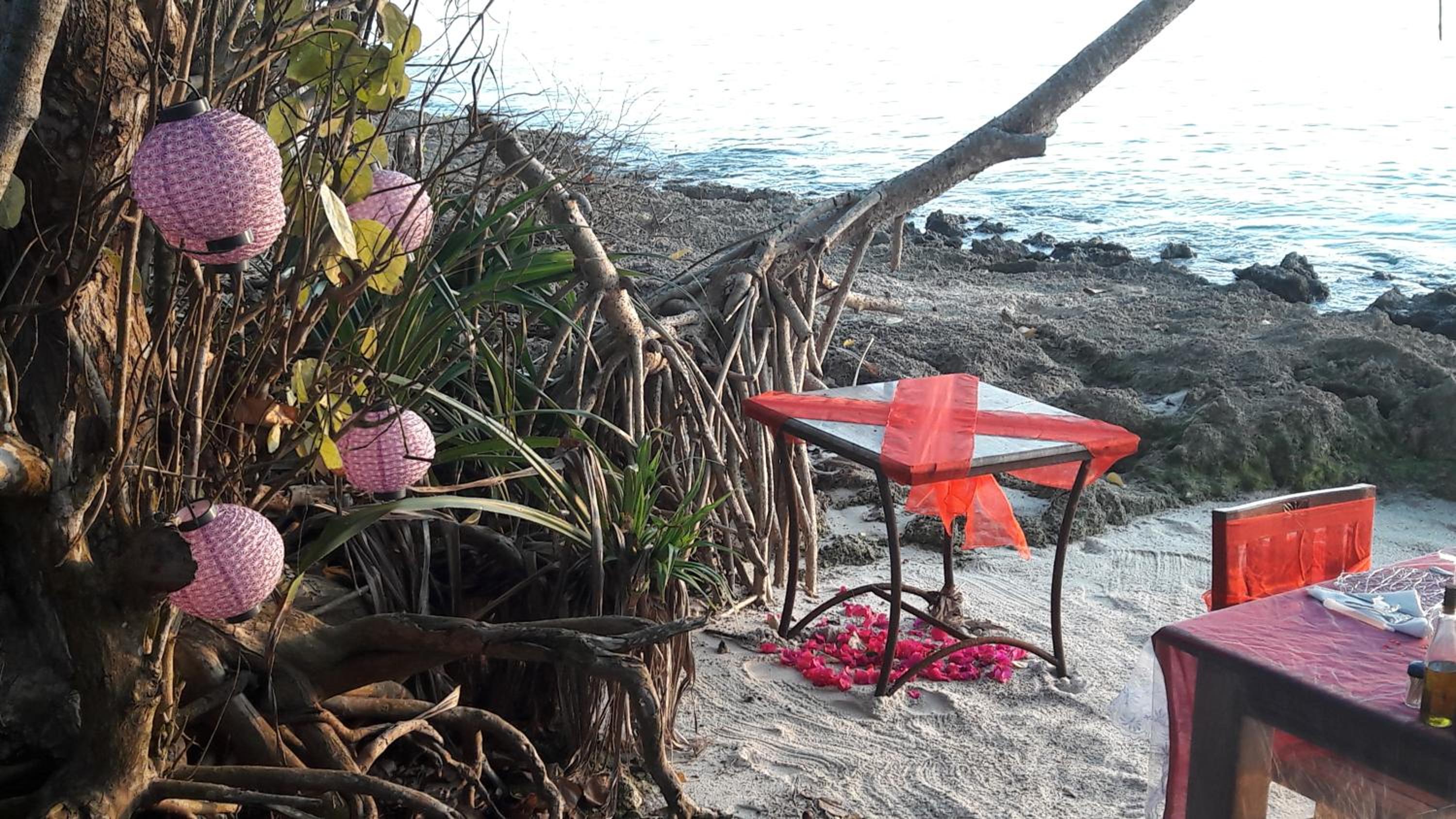 Gecko Nature Lodge Home of Swahili Divers the BEST dive center and Famous Gecko Restaurant