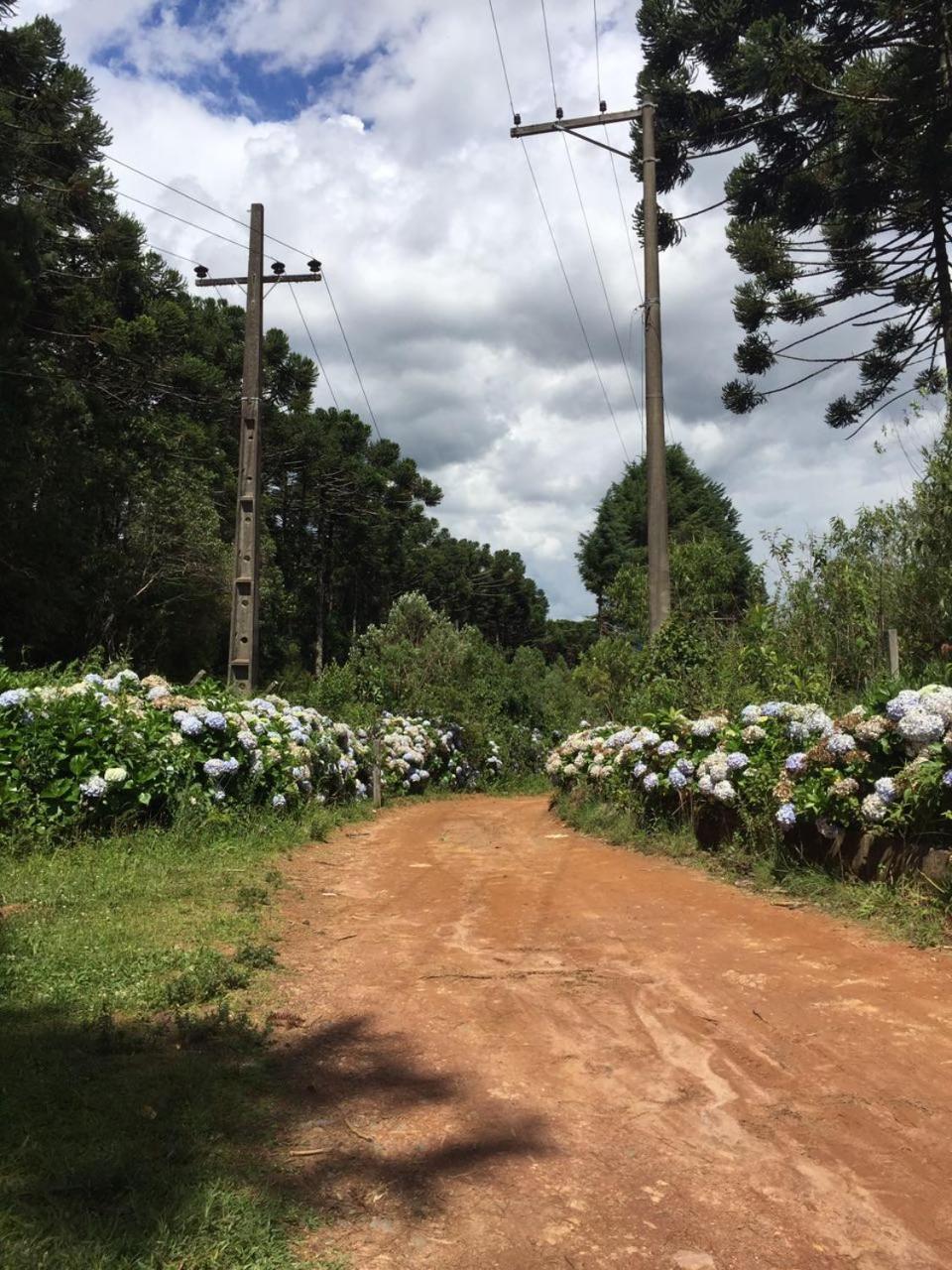 Refúgio dos Sonhos - Casa nas Montanhas - Monte Verde