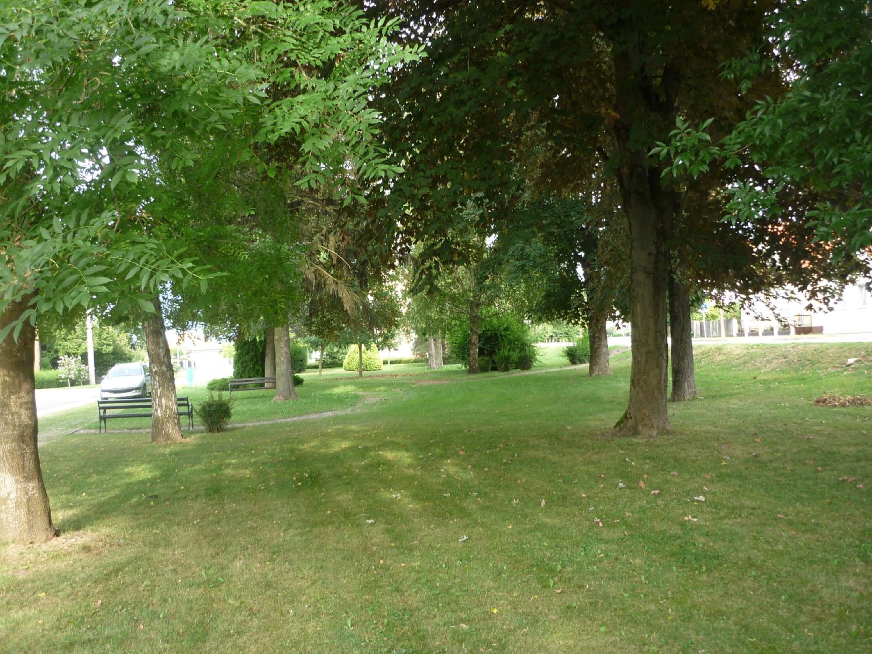 Photo 47