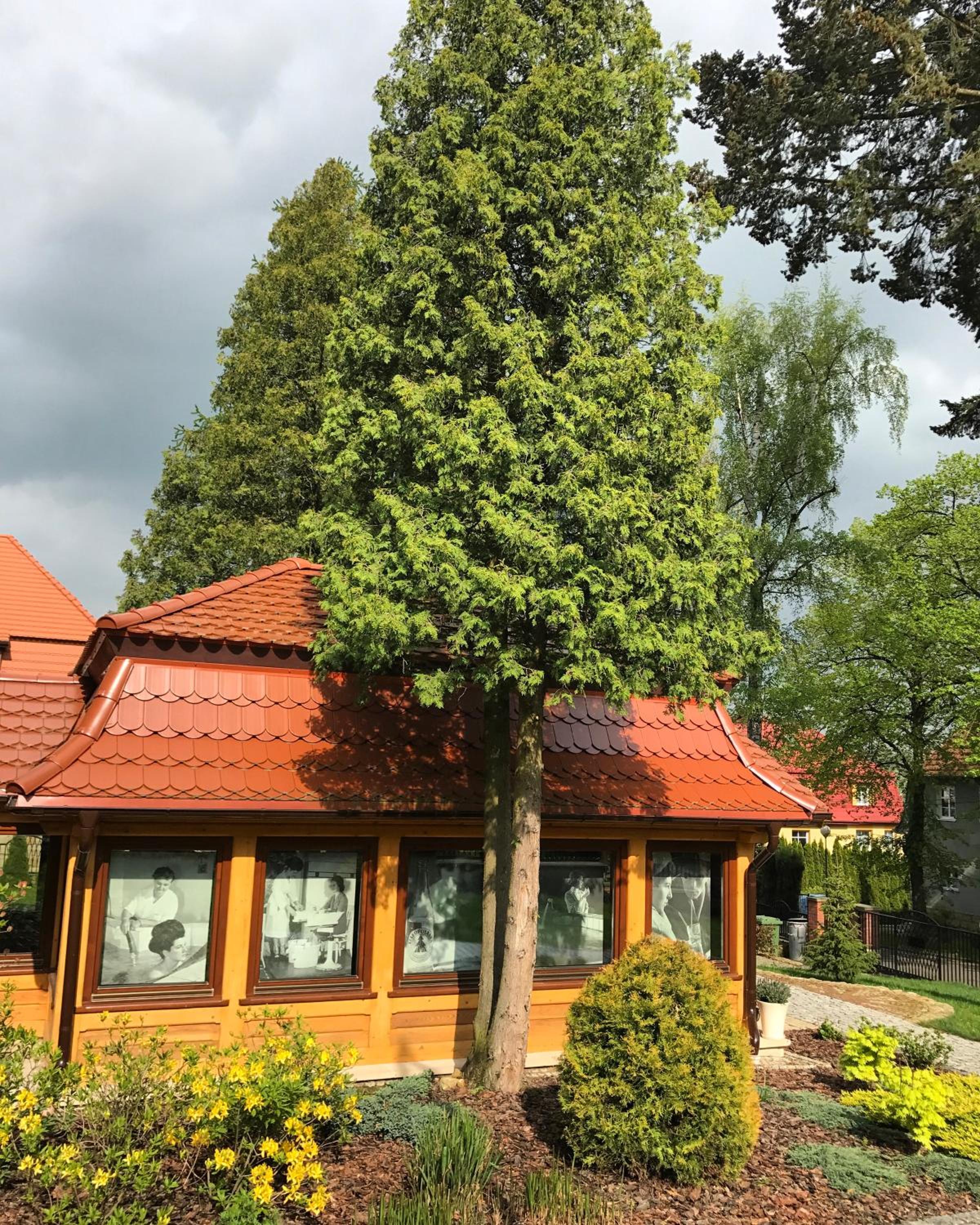 Villa Filmowiec