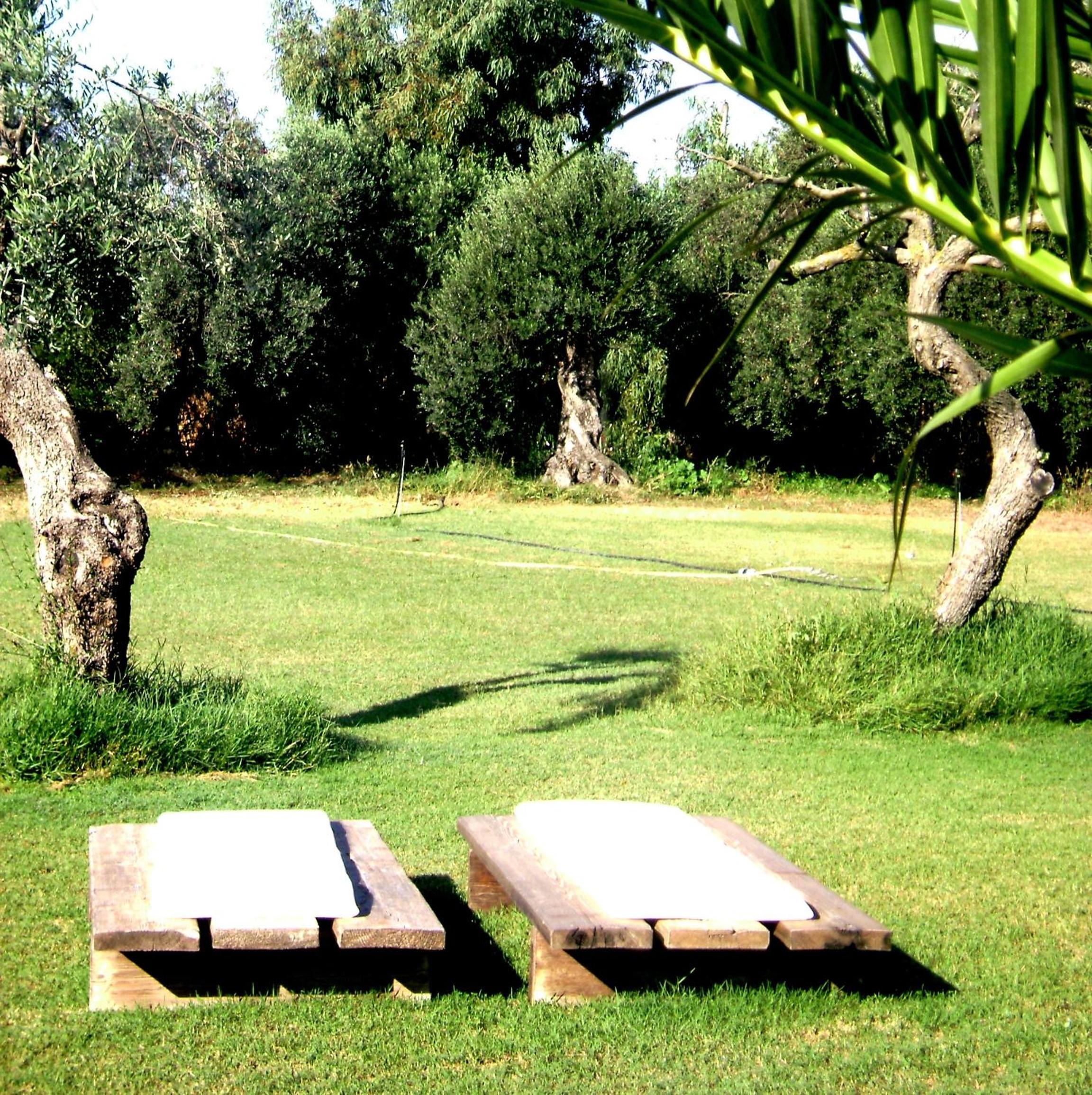 Photo 43