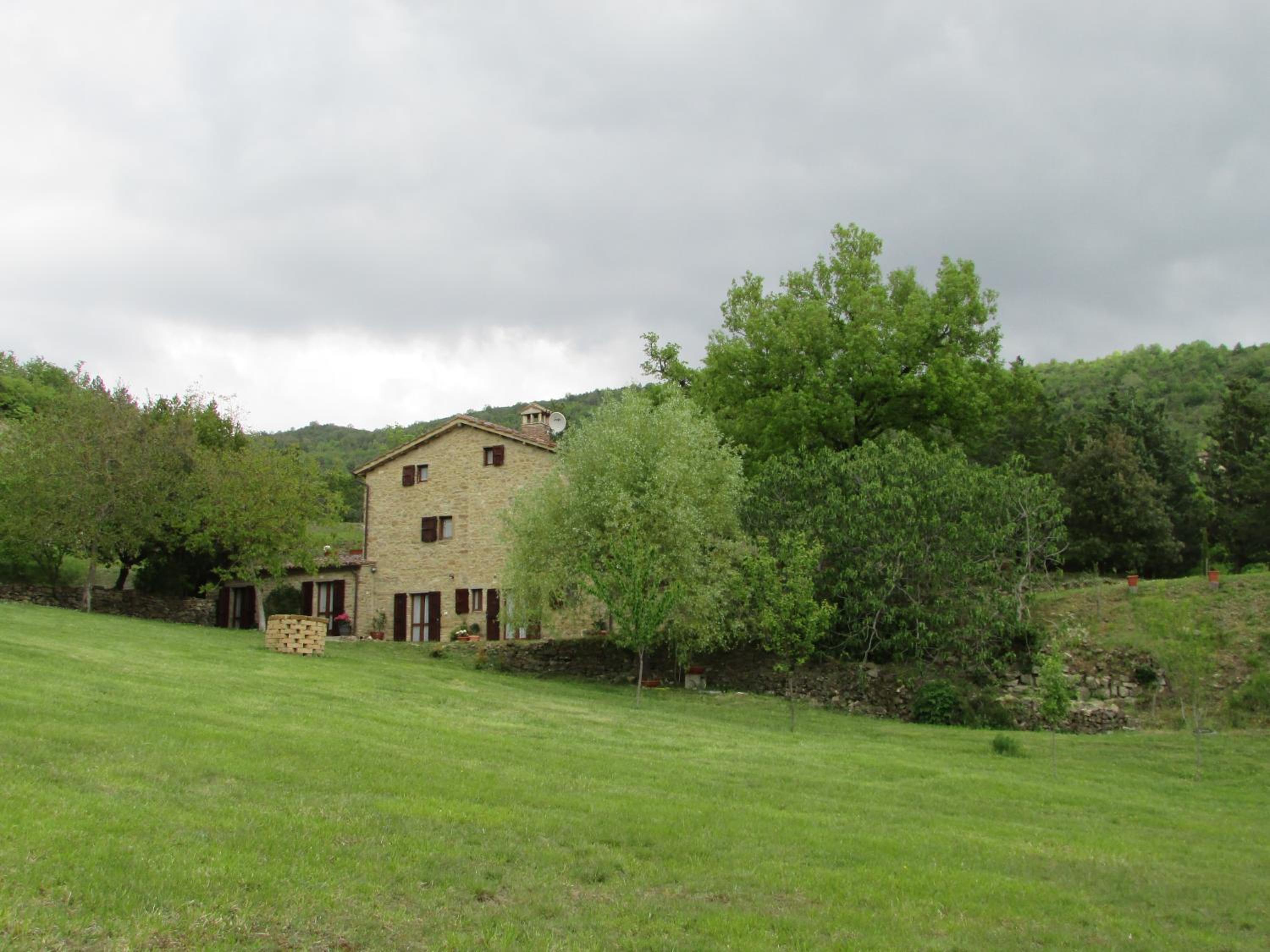 Photo 27