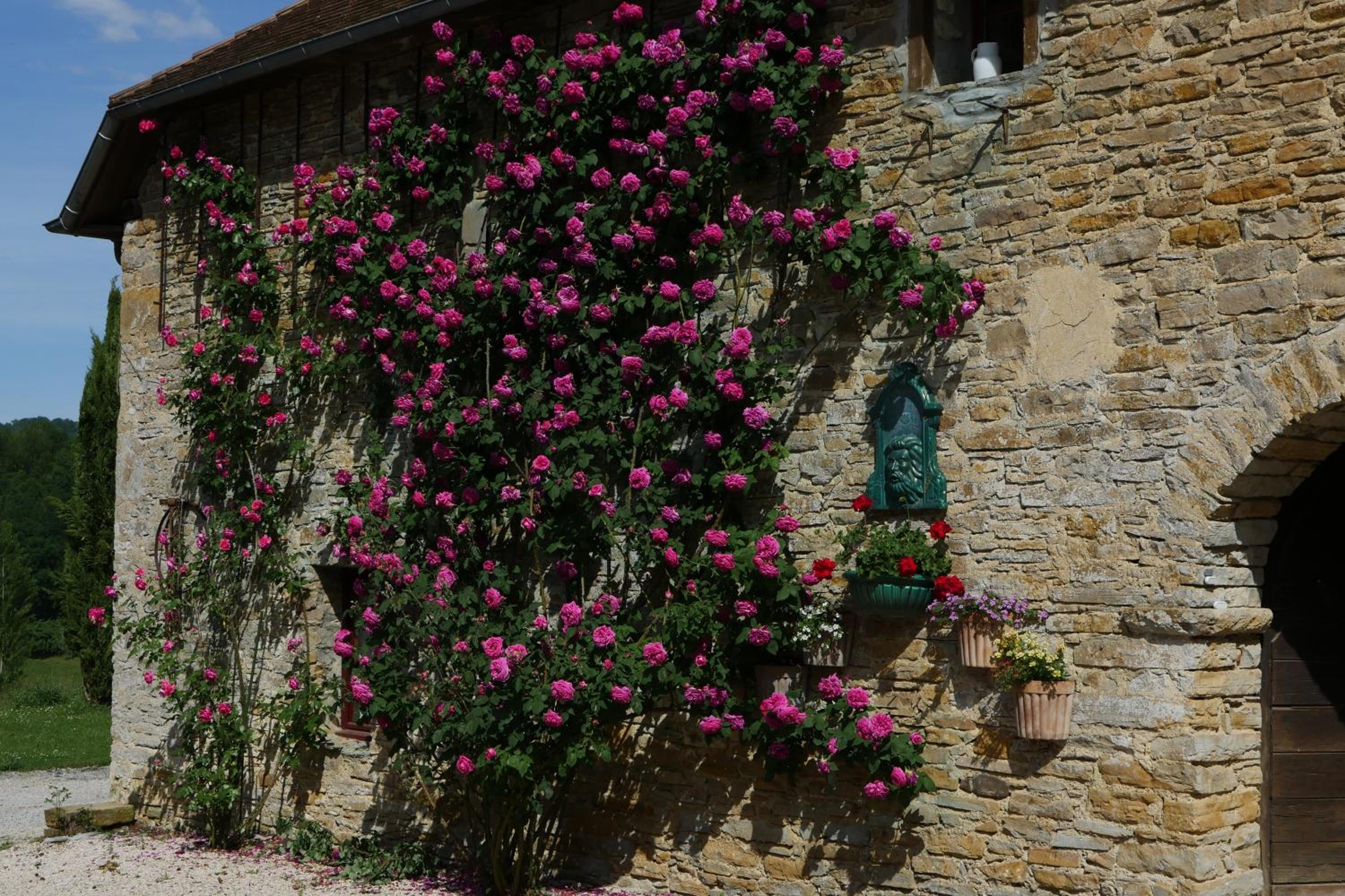 Photo 47