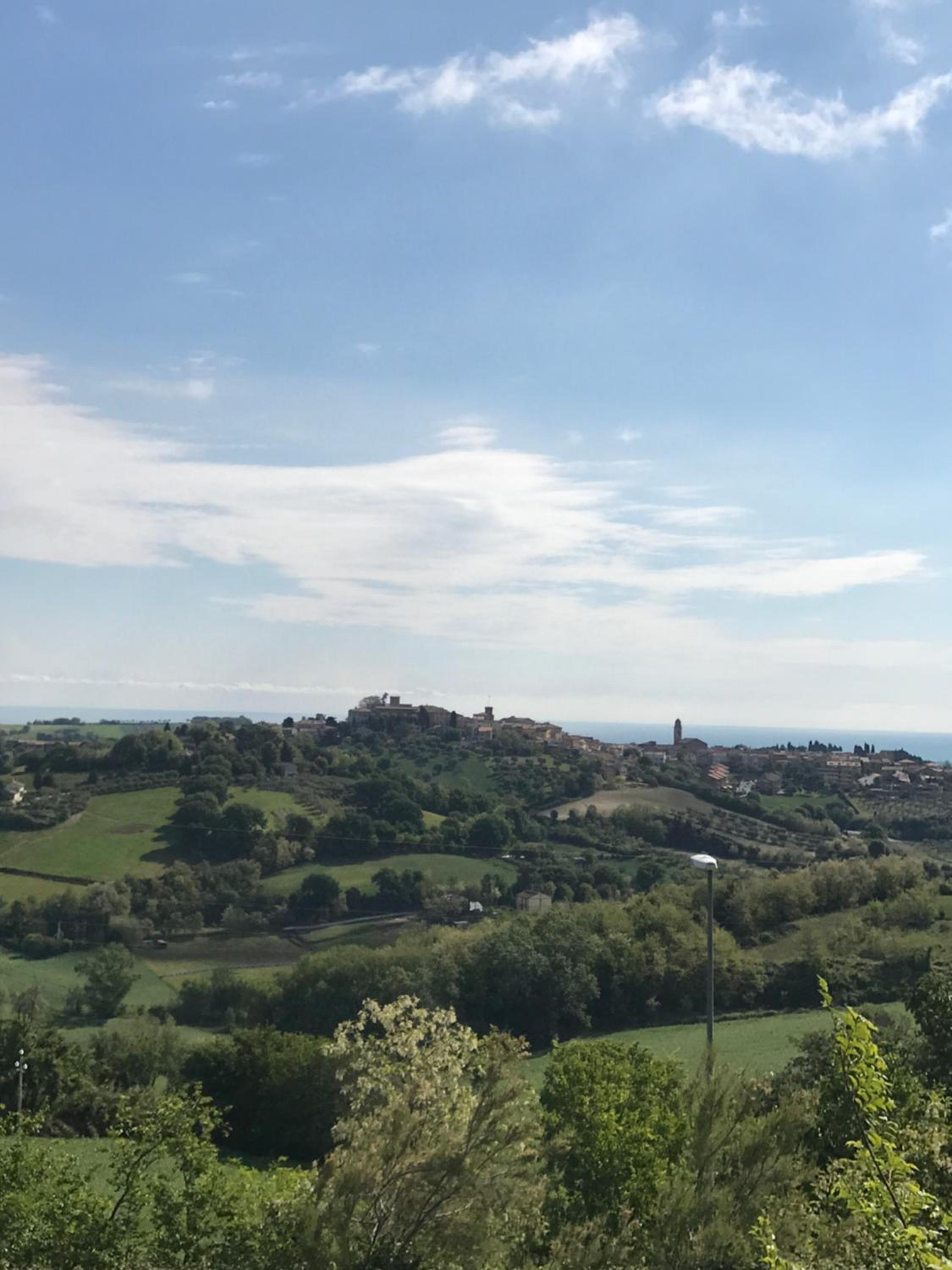 Il Lauro