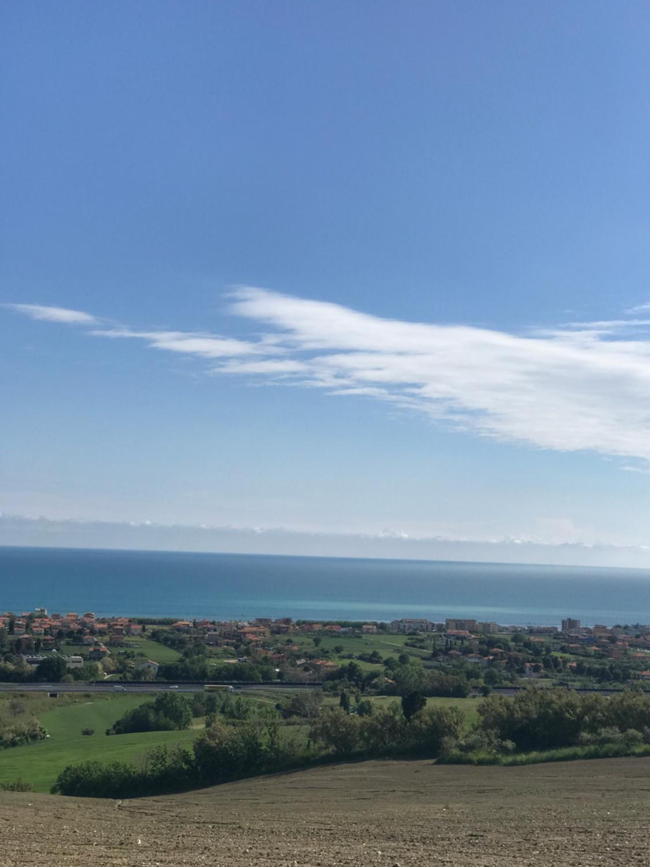 Il Lauro