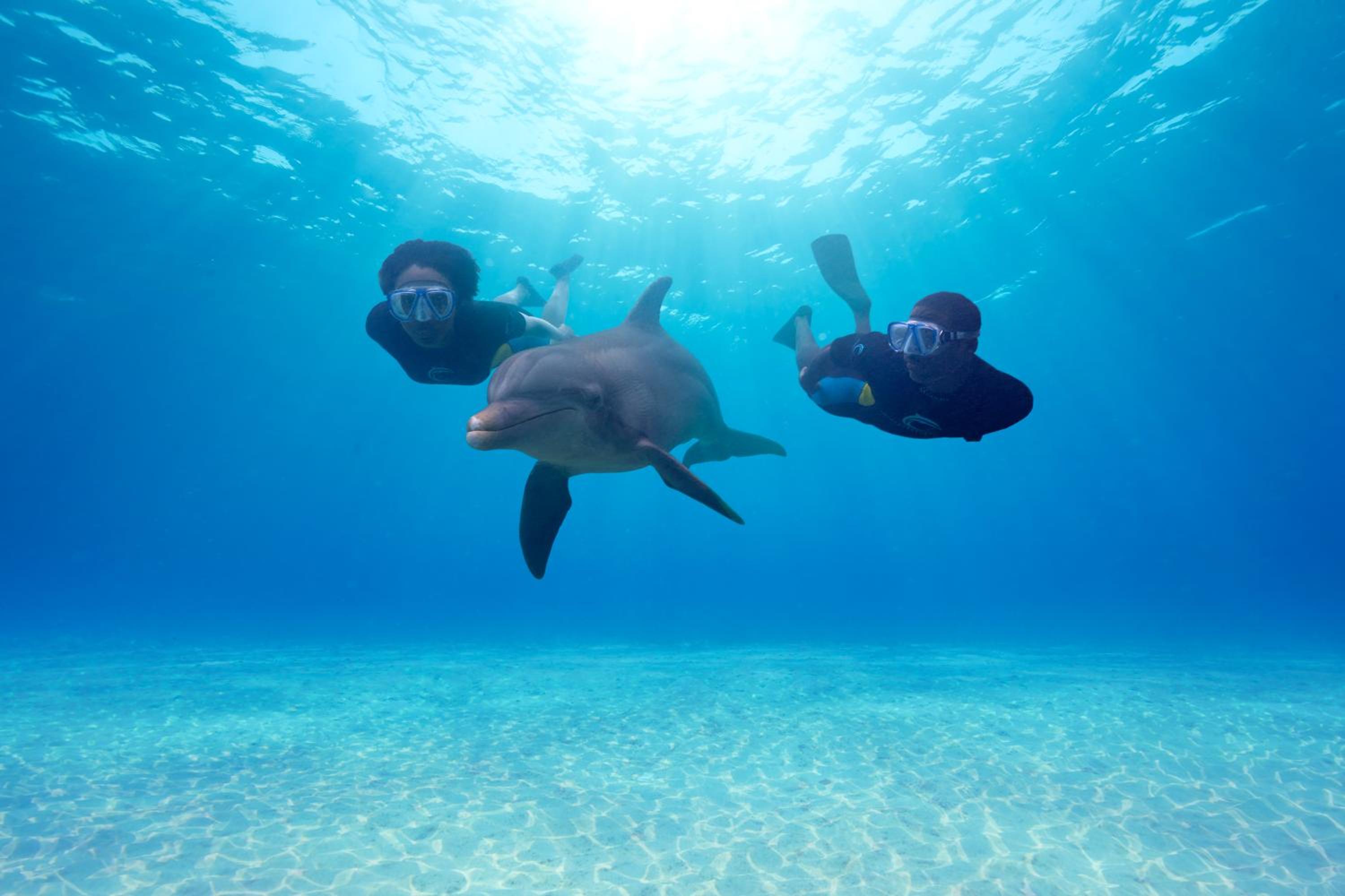 Nassau - Paradise Island Vacations - The Coral at Atlantis - Property Image 51