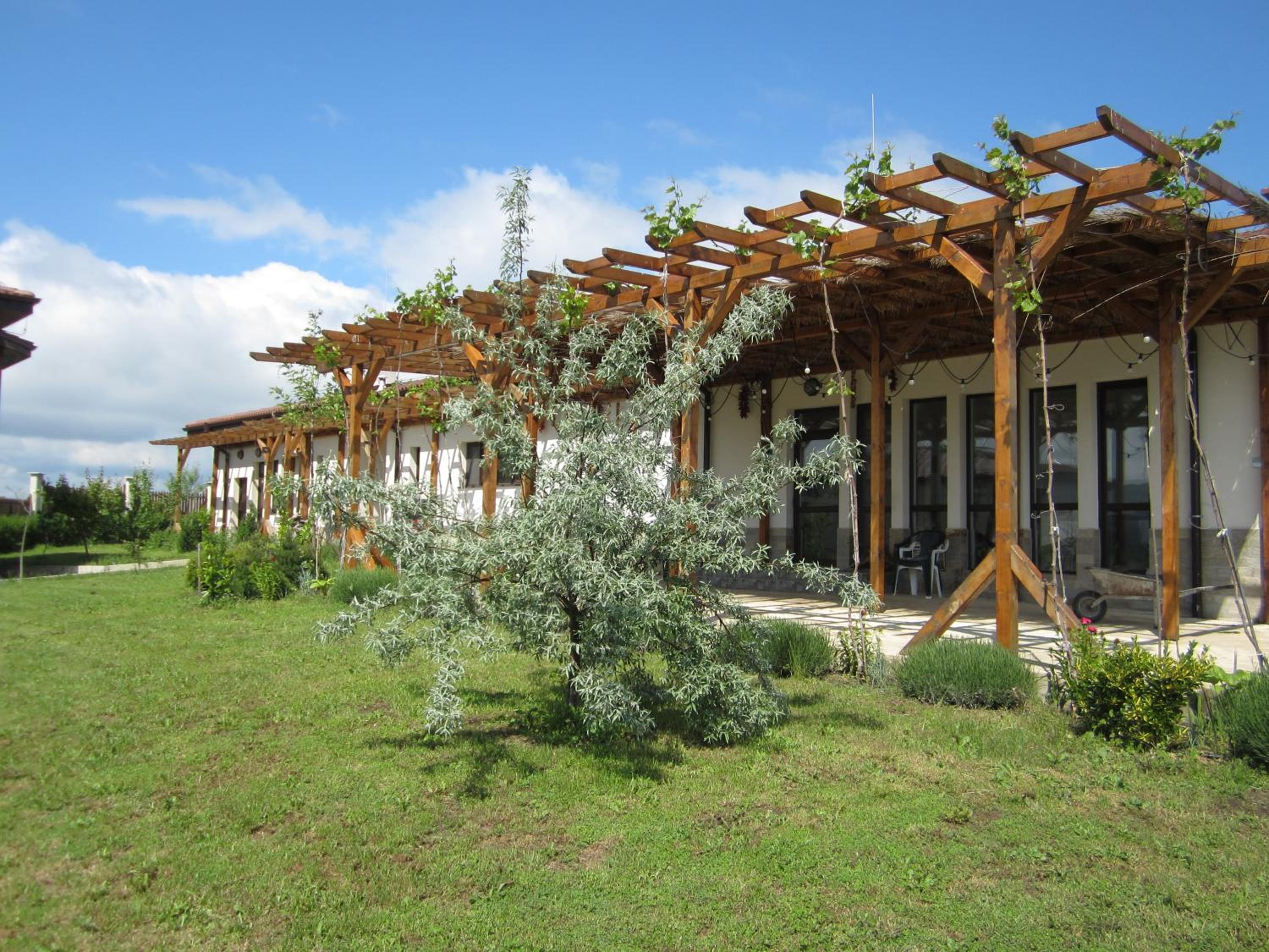 Vis Velika