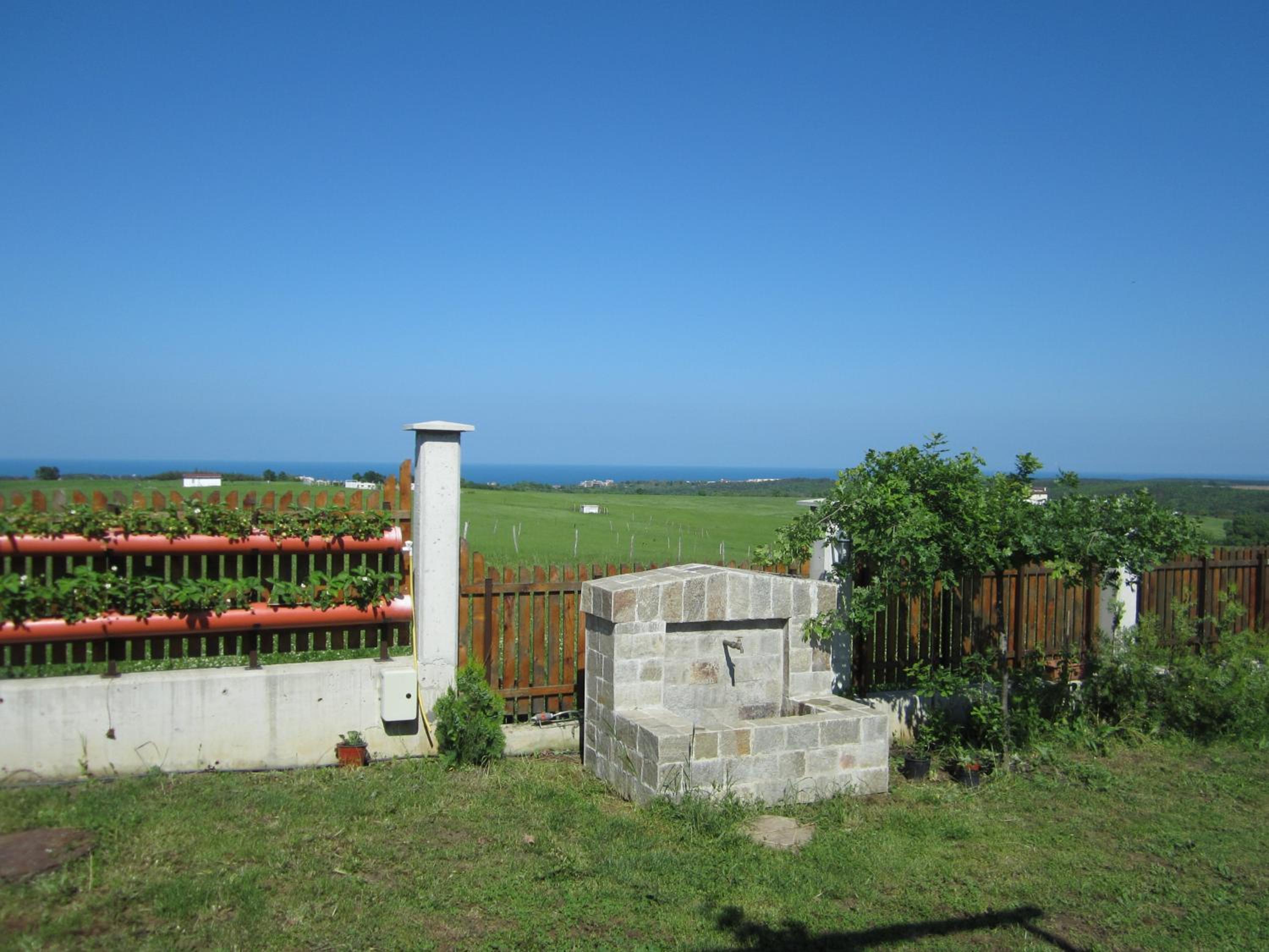 Vis Velika