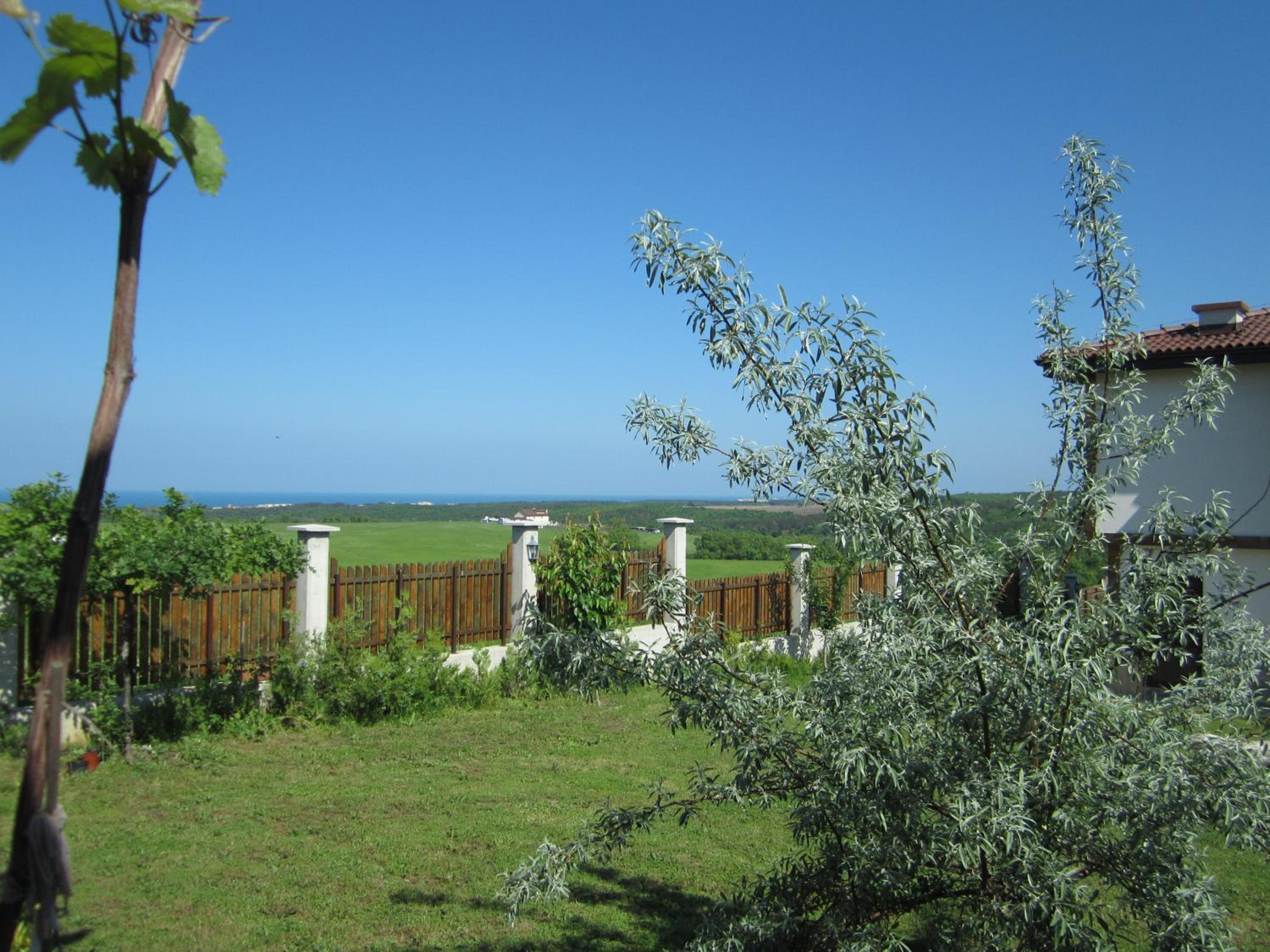 Vis Velika