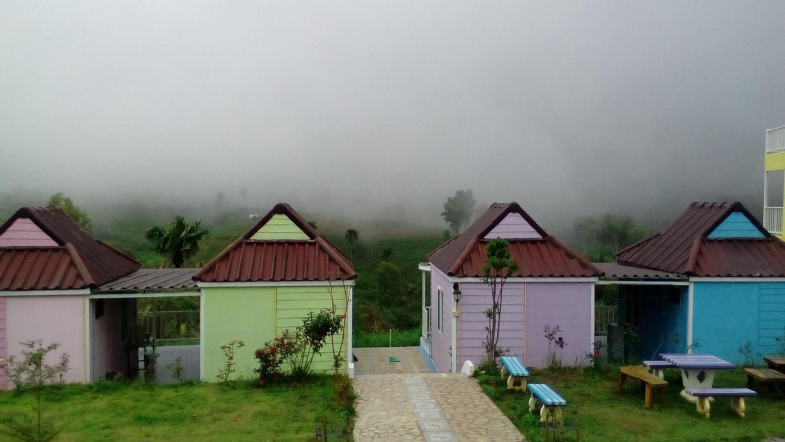 Lovely Farm