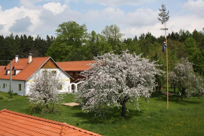 Penzion Kaminek