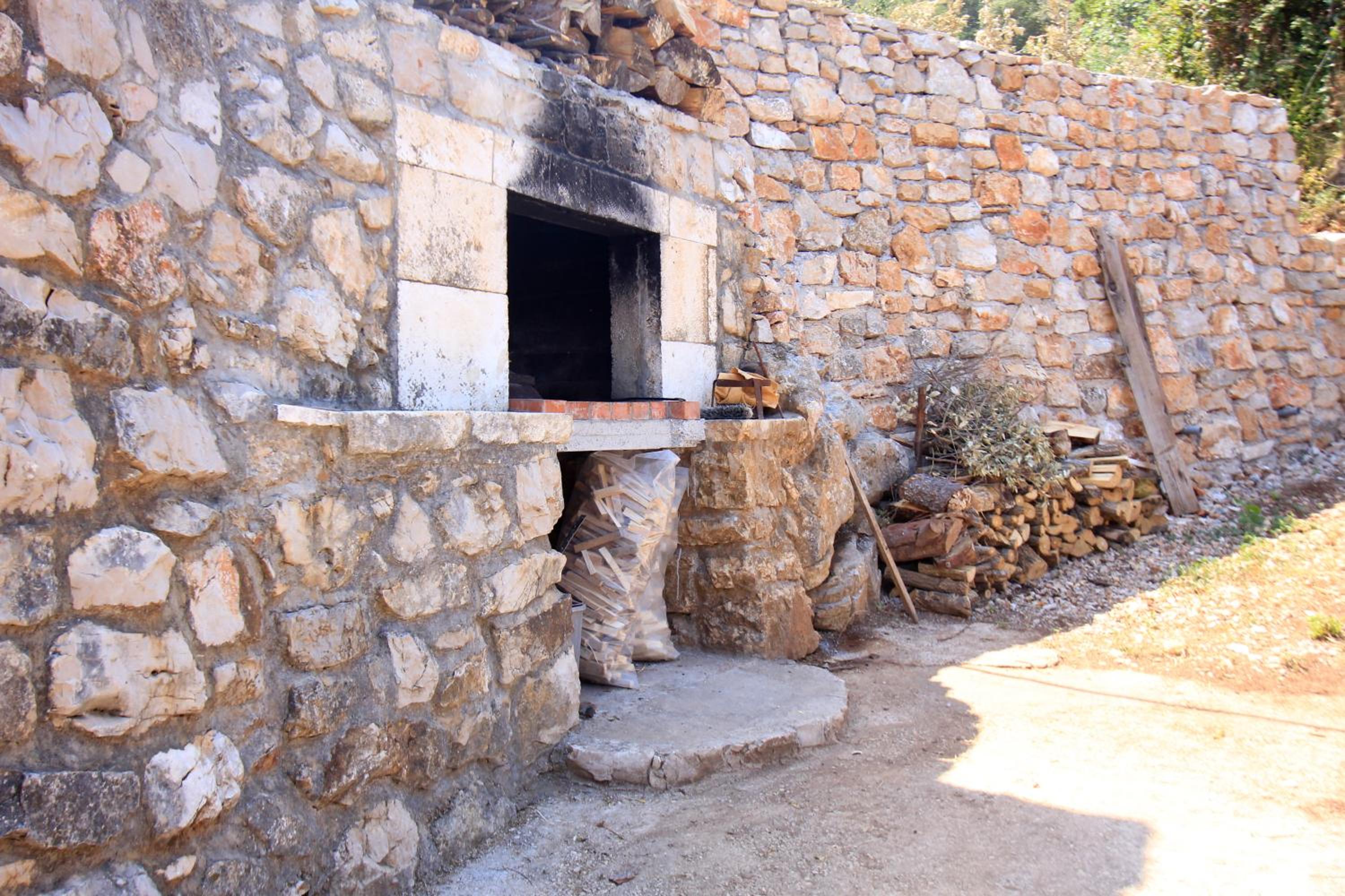 Photo 8