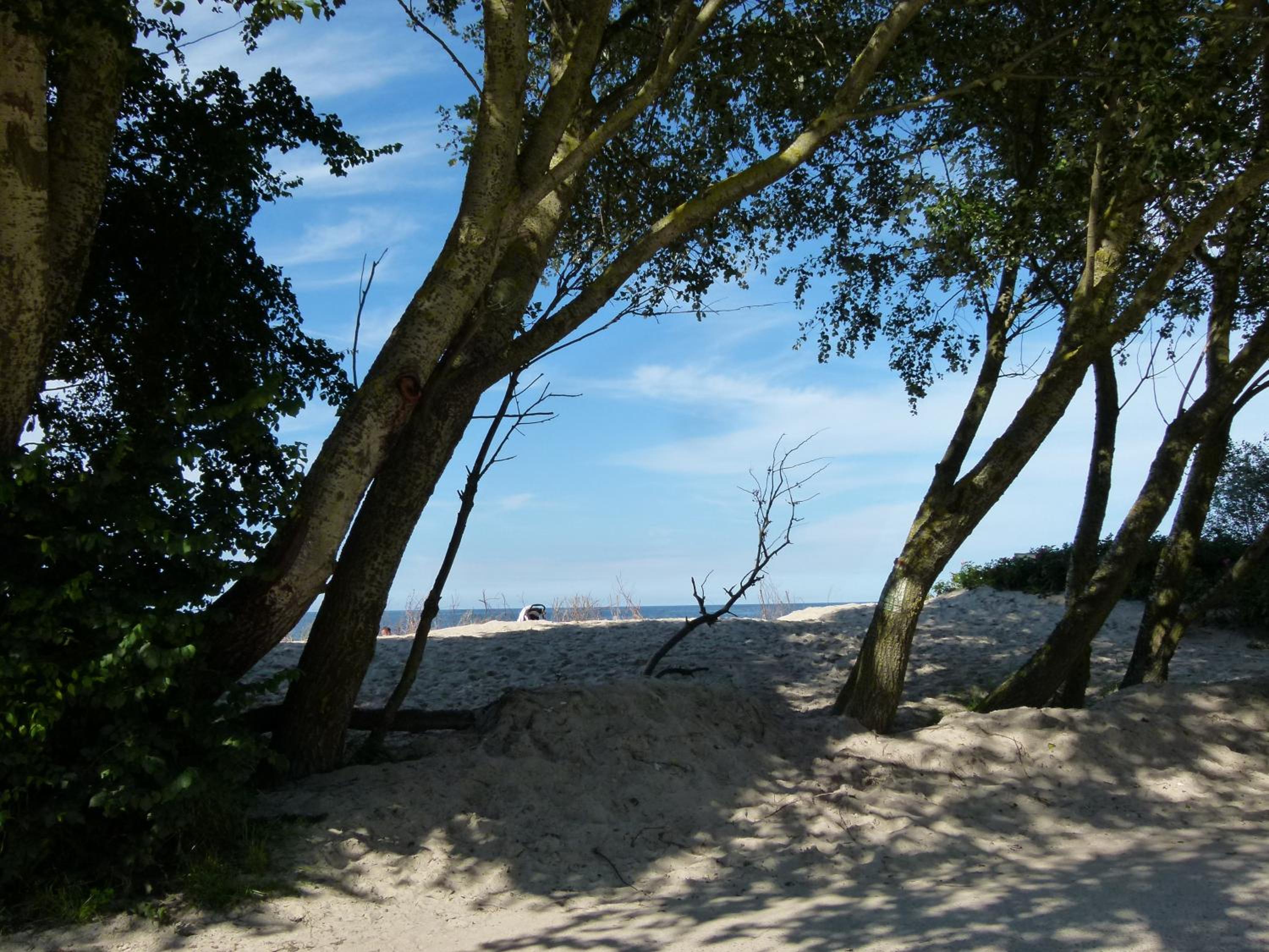 Photo 28