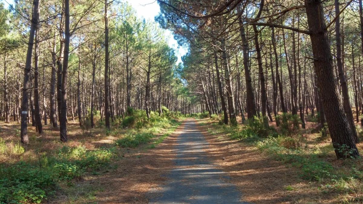 Mobilandes Sanguinet