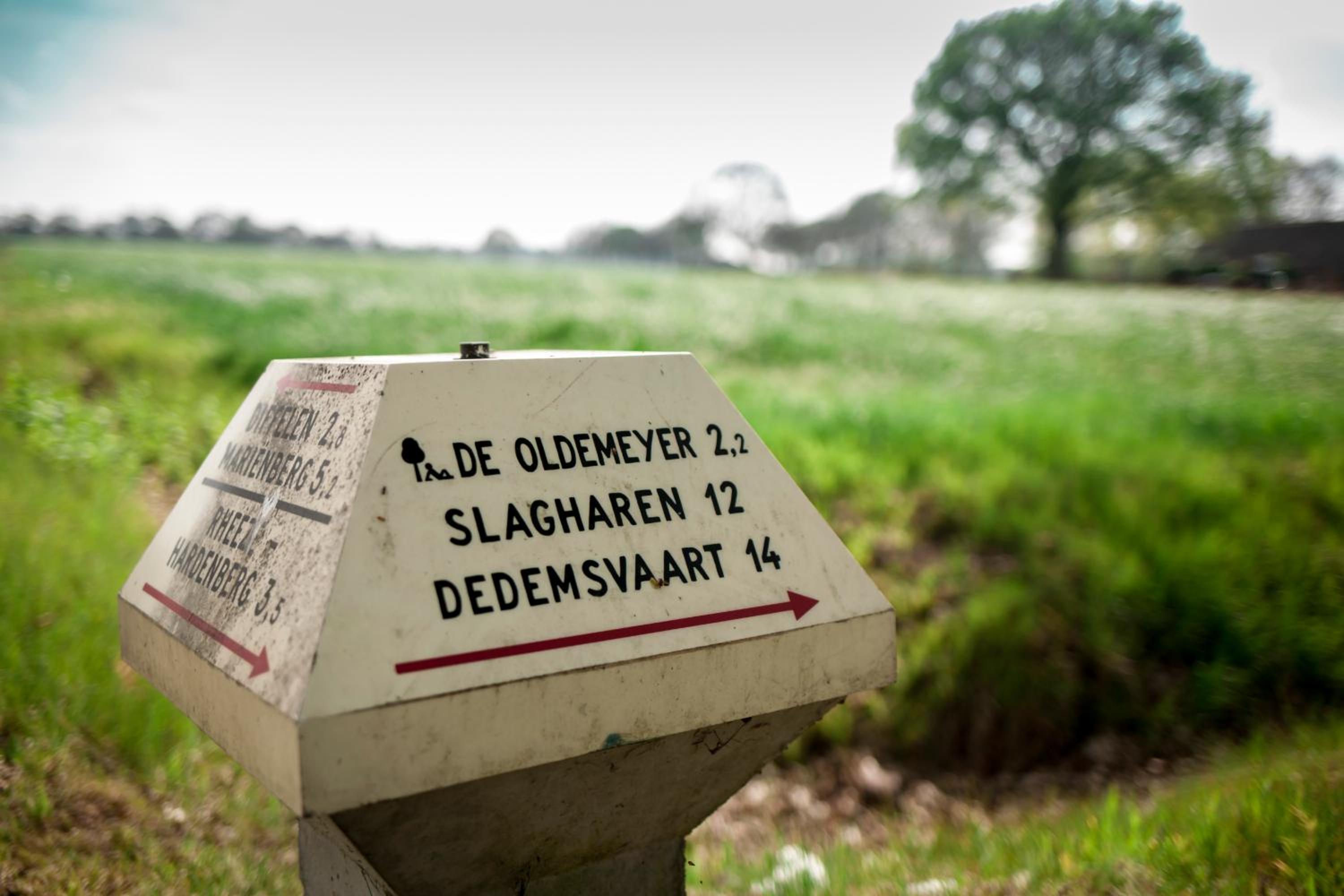 Rheezerstee, photo 90