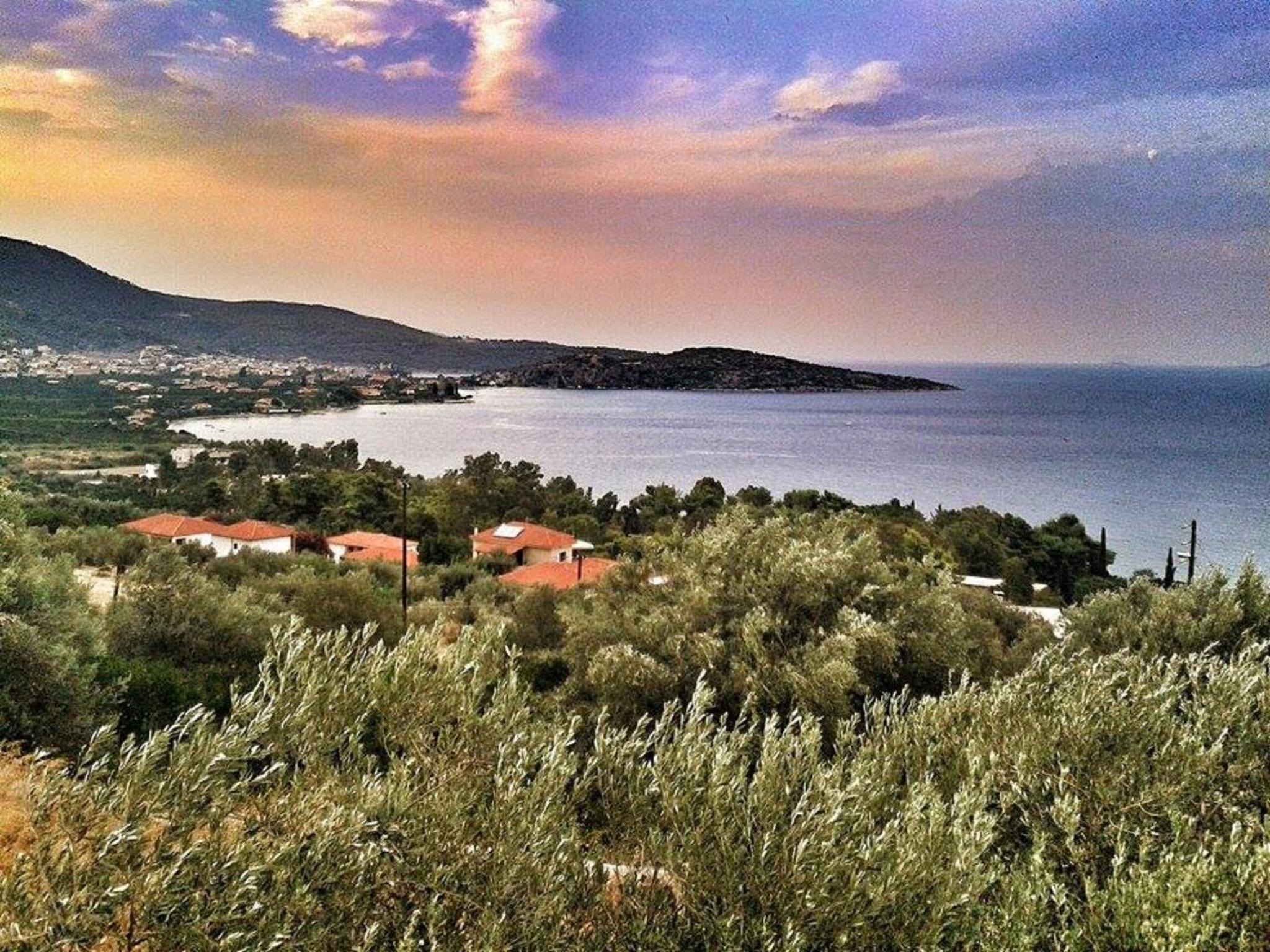 Athina EcoFarm