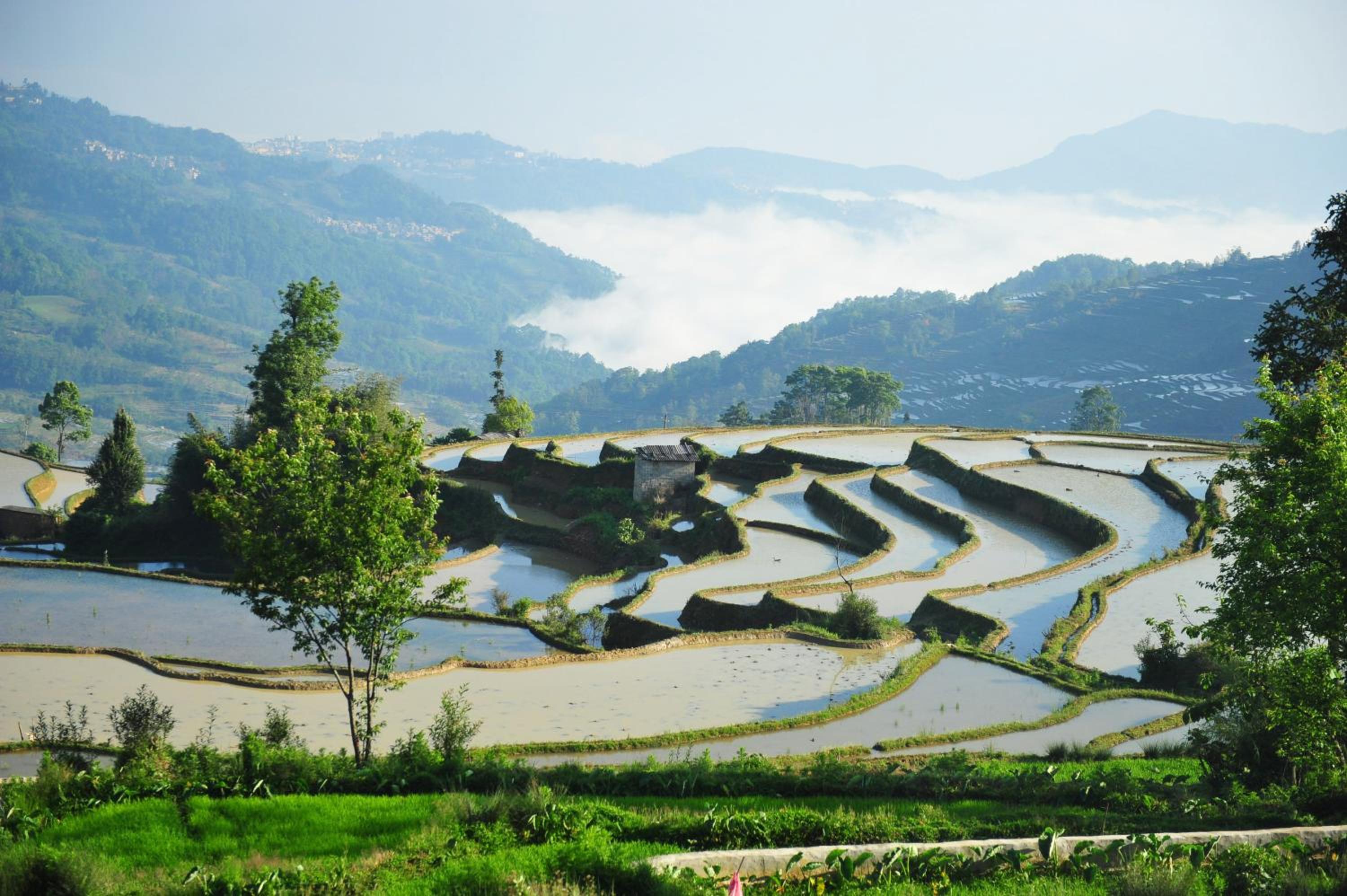Twelve Manor Xiangdian Yuanyang Rice Terraces Retreat