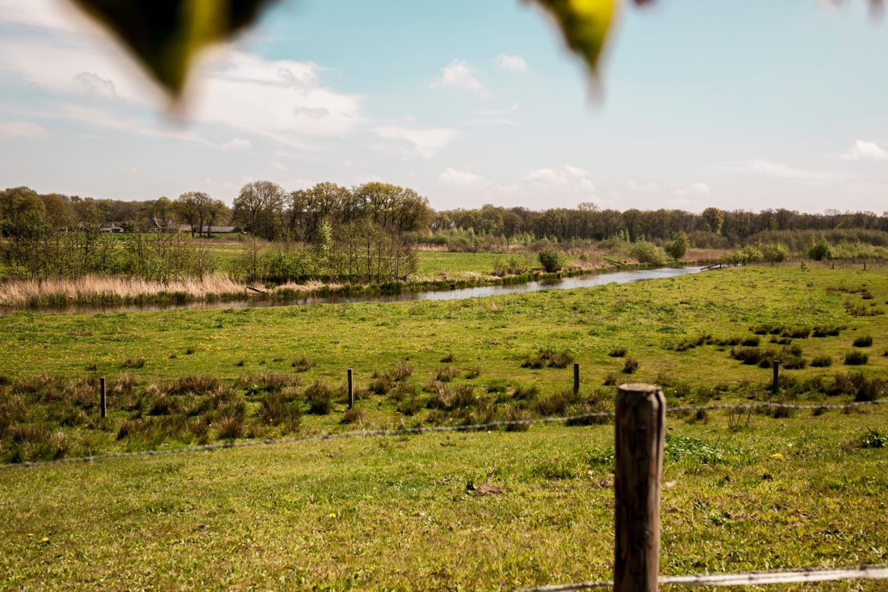 Rheezerstee, photo 68