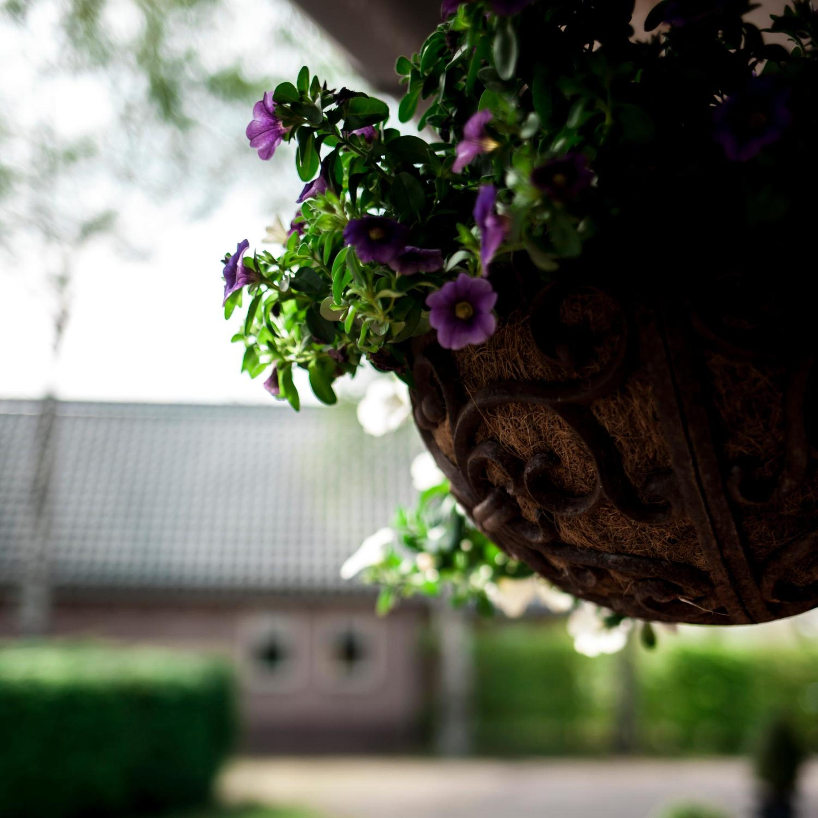 Rheezerstee, photo 3