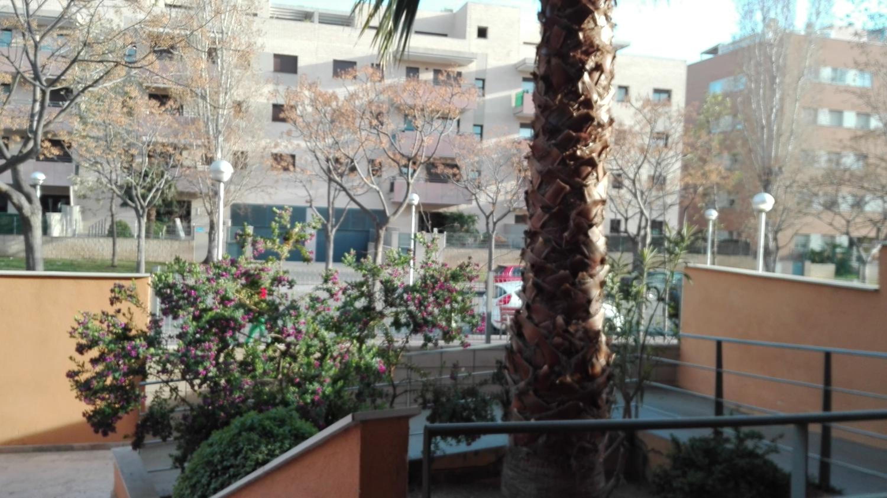 rosa sensat view 3