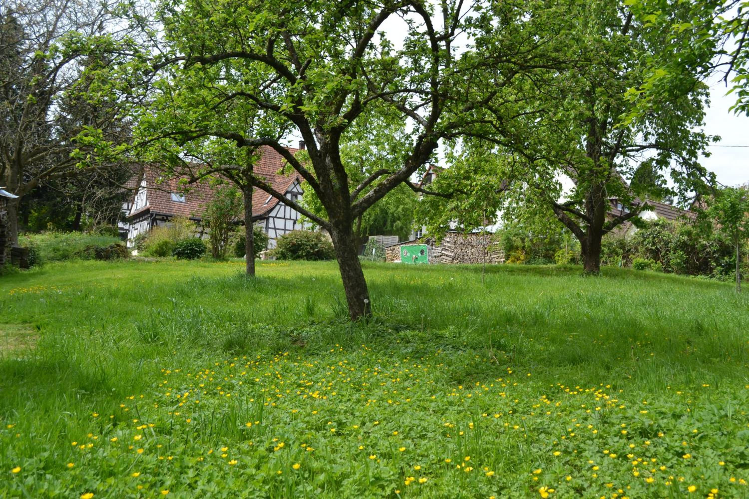Ferienidyll Cleebourg view 2