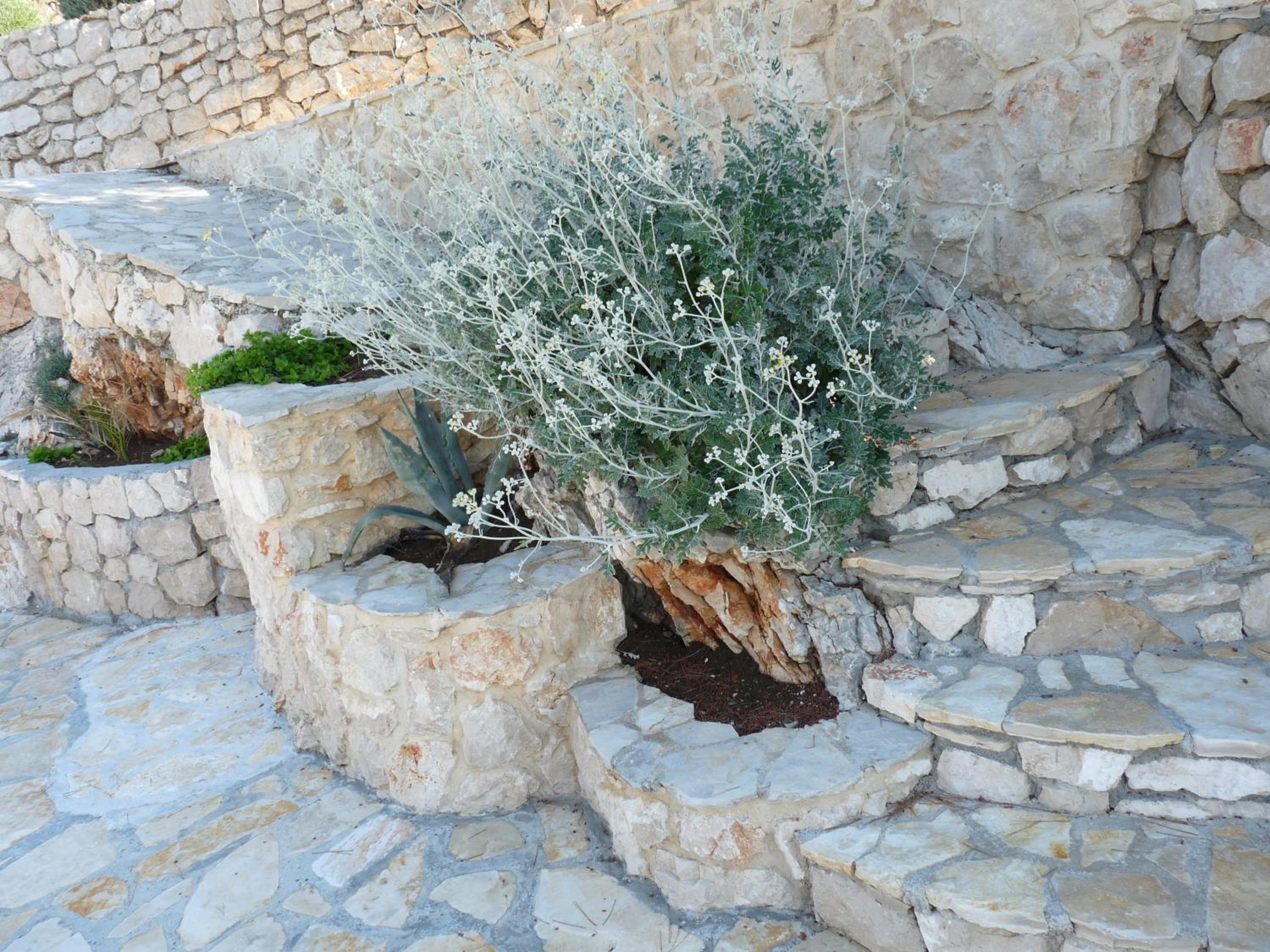 Photo 42