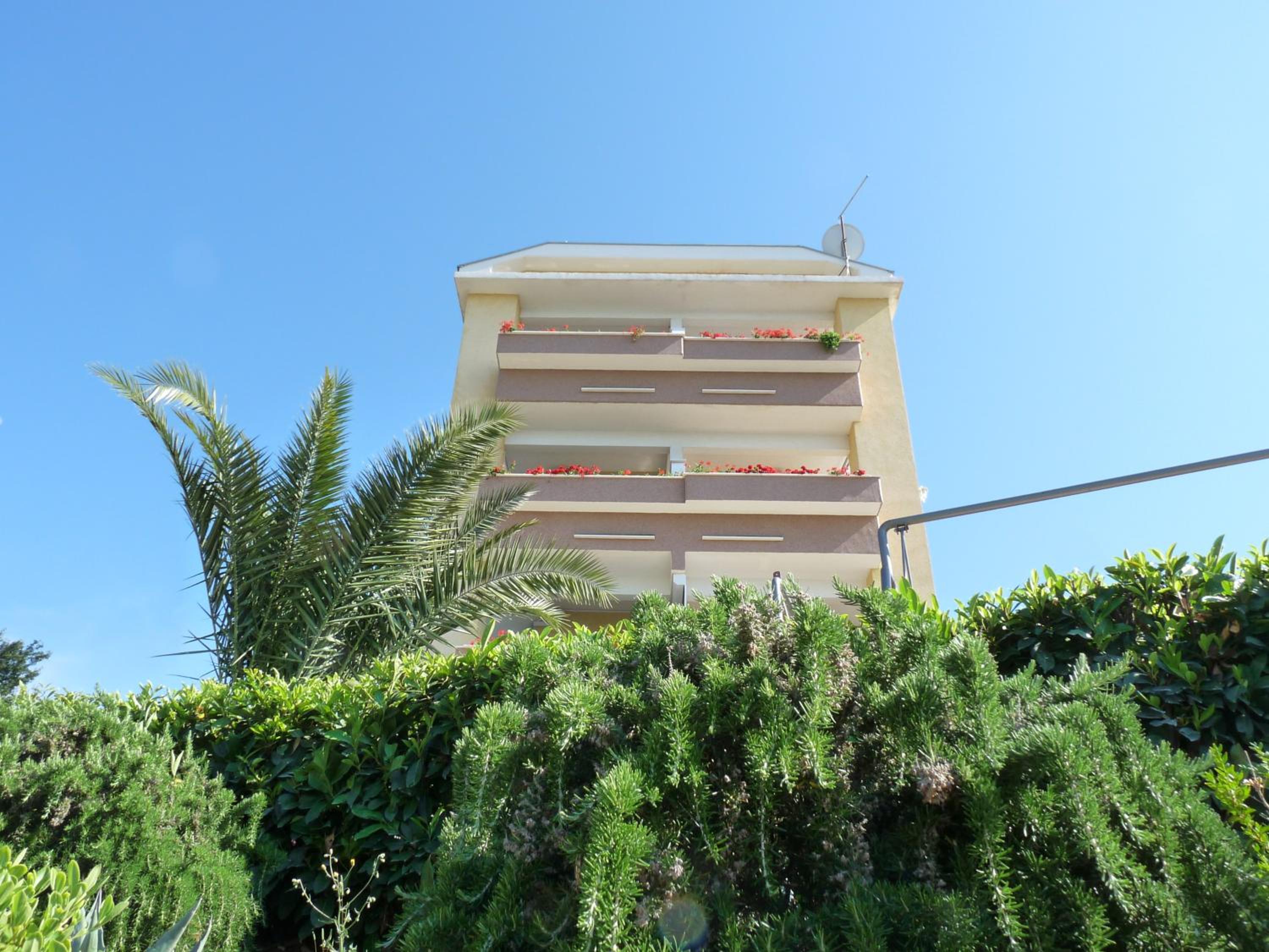 Photo 46