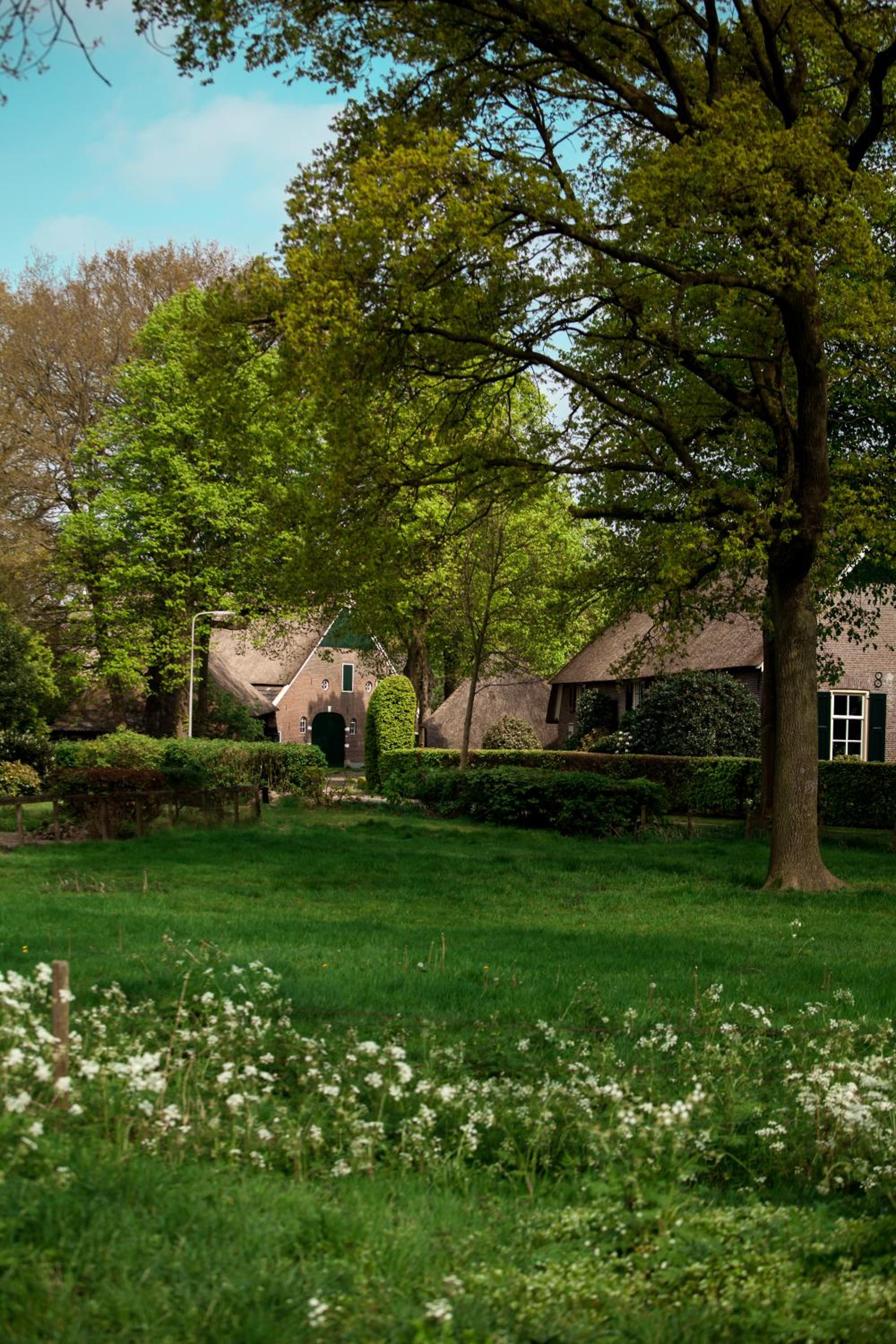 Rheezerstee, photo 26