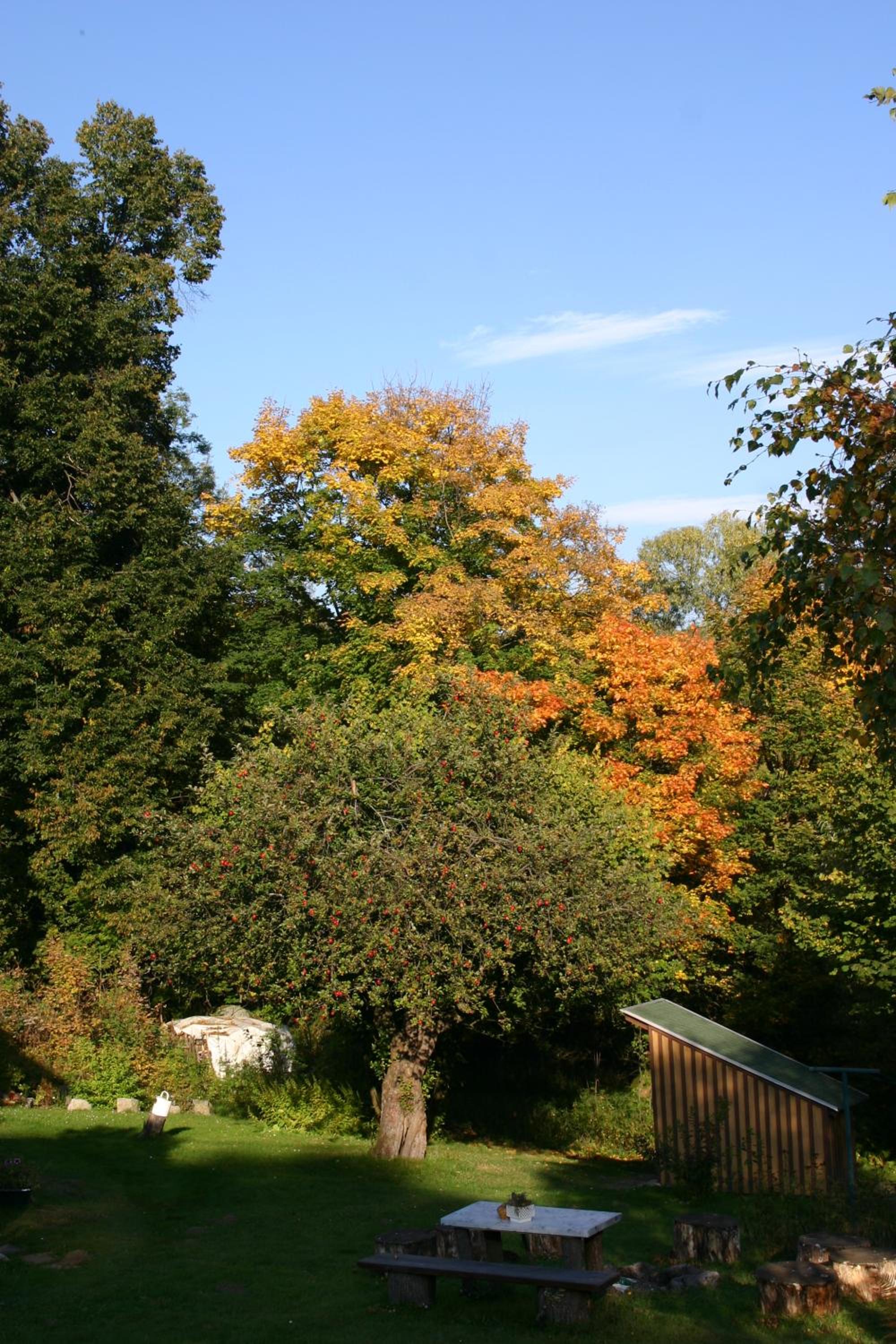 Photo 16