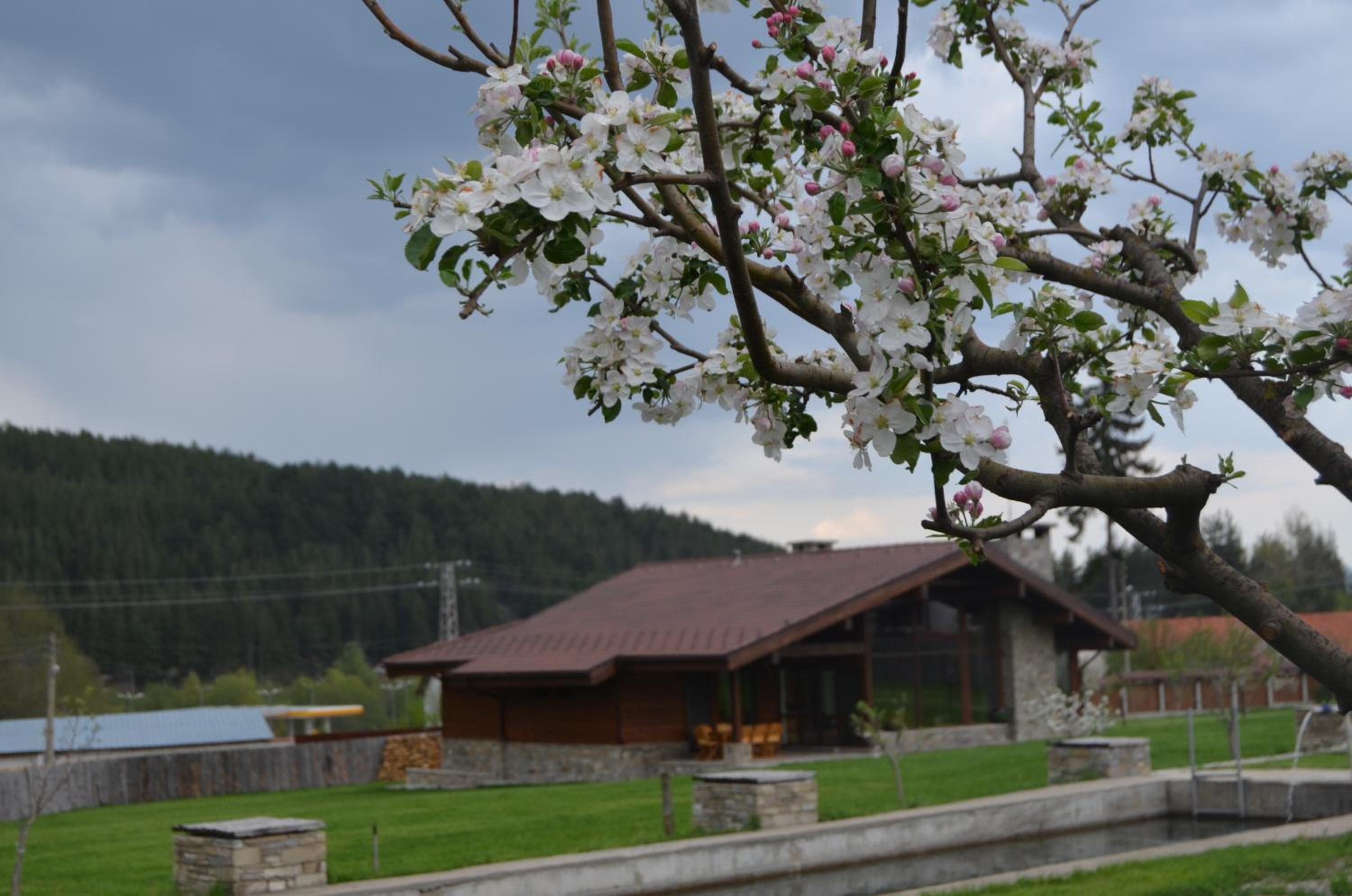 Gostnici Holiday Home