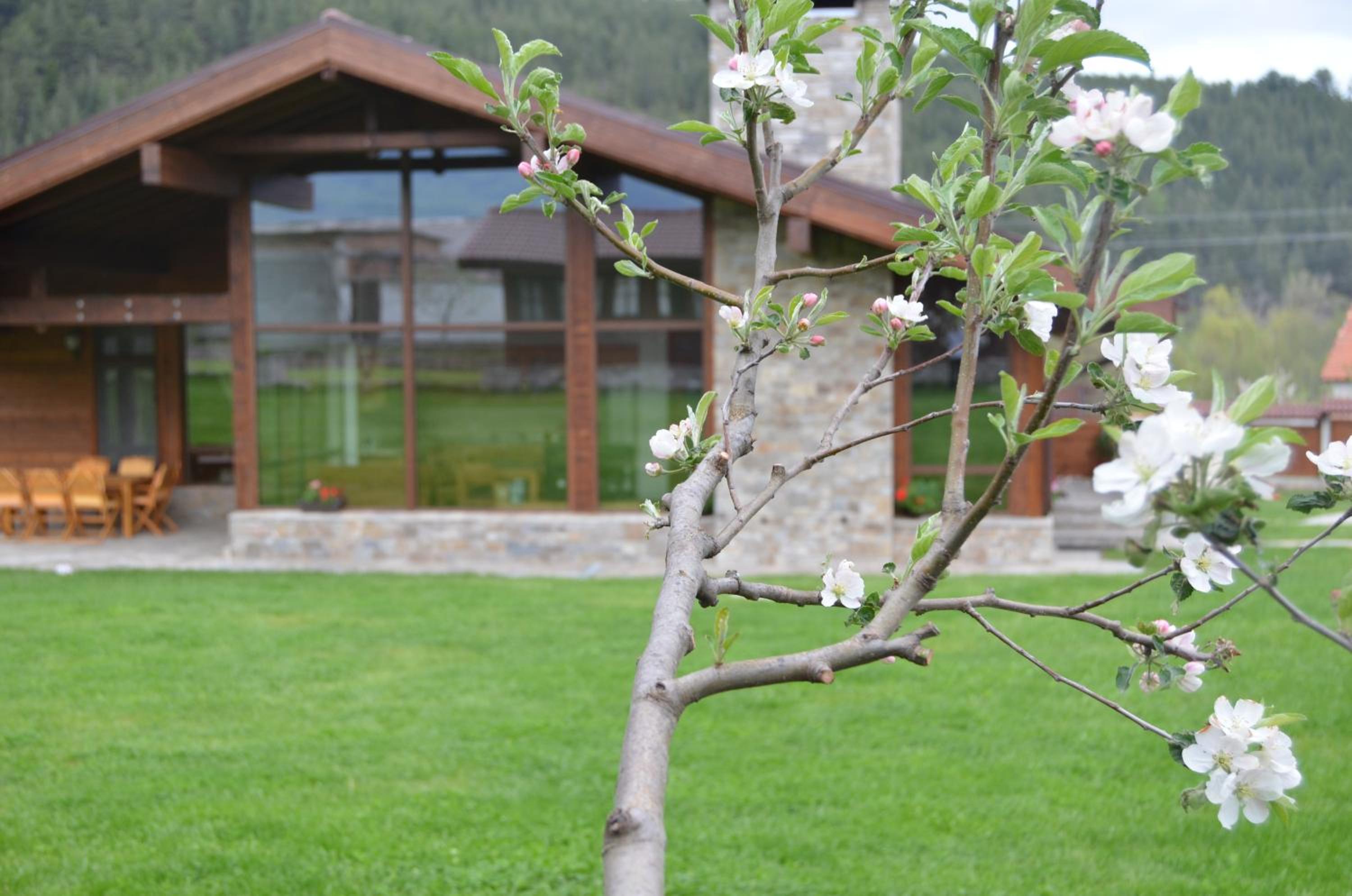 Gostnici Holiday Home