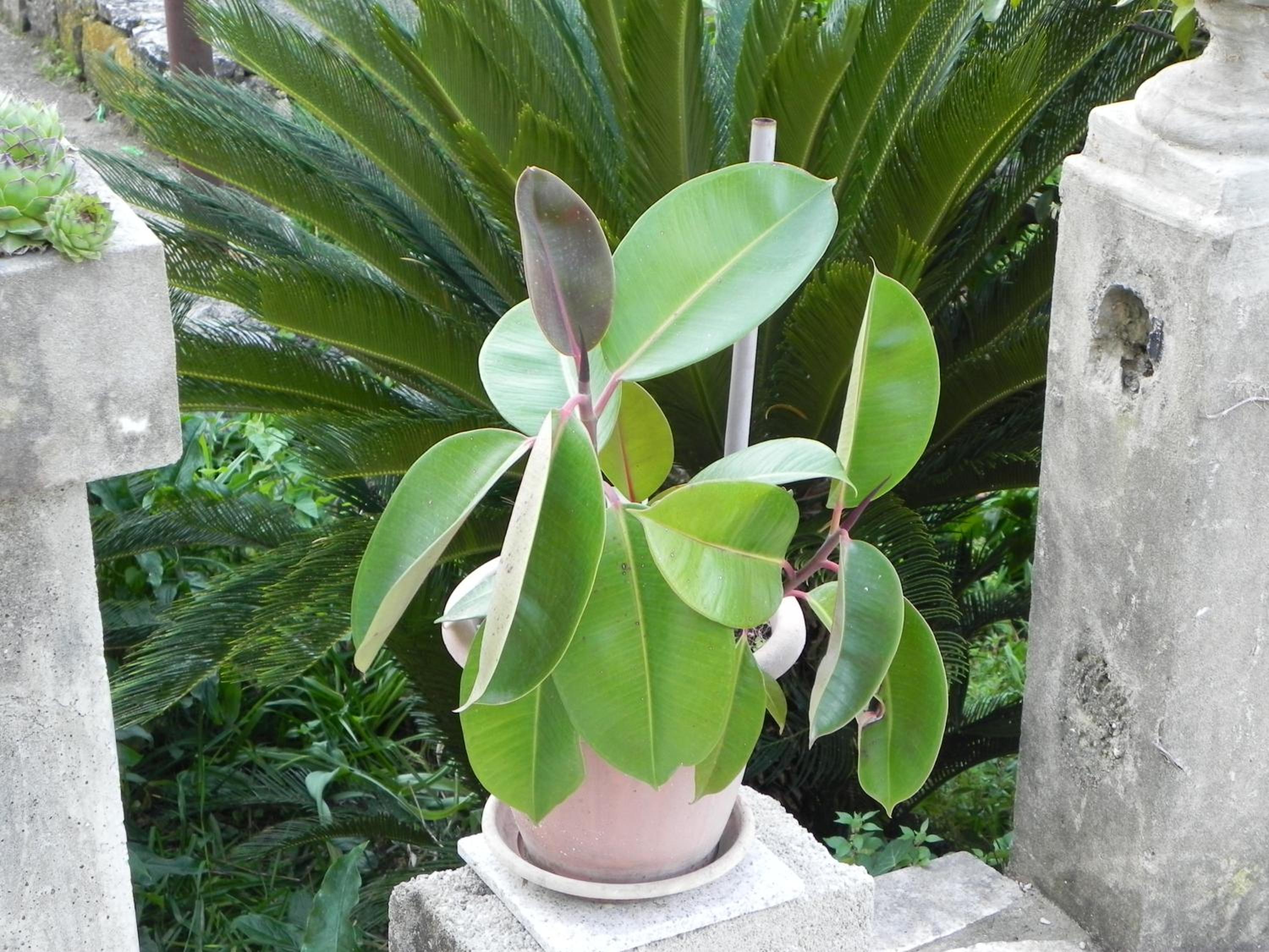 Photo 24