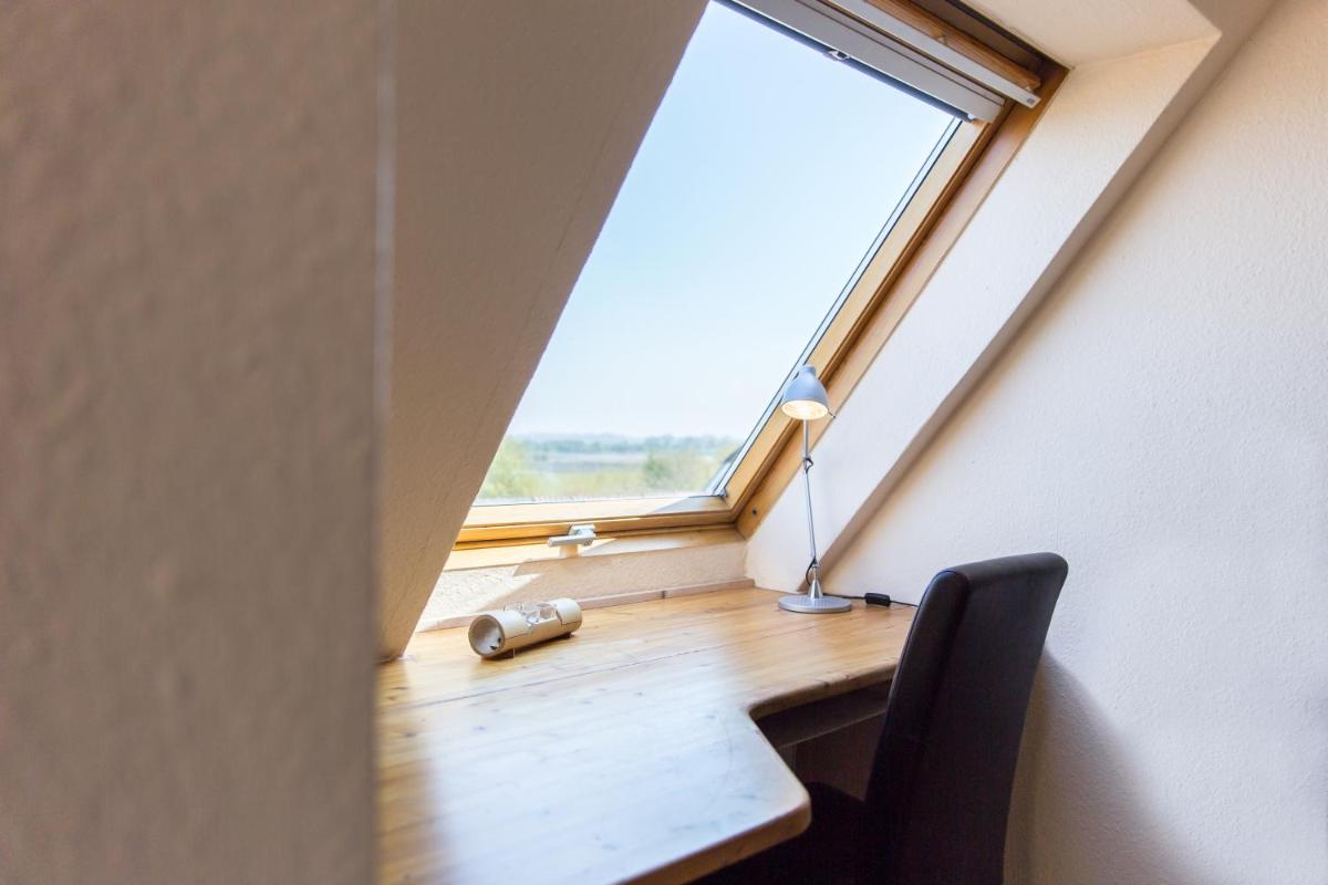 Gold Fehmarn view 5