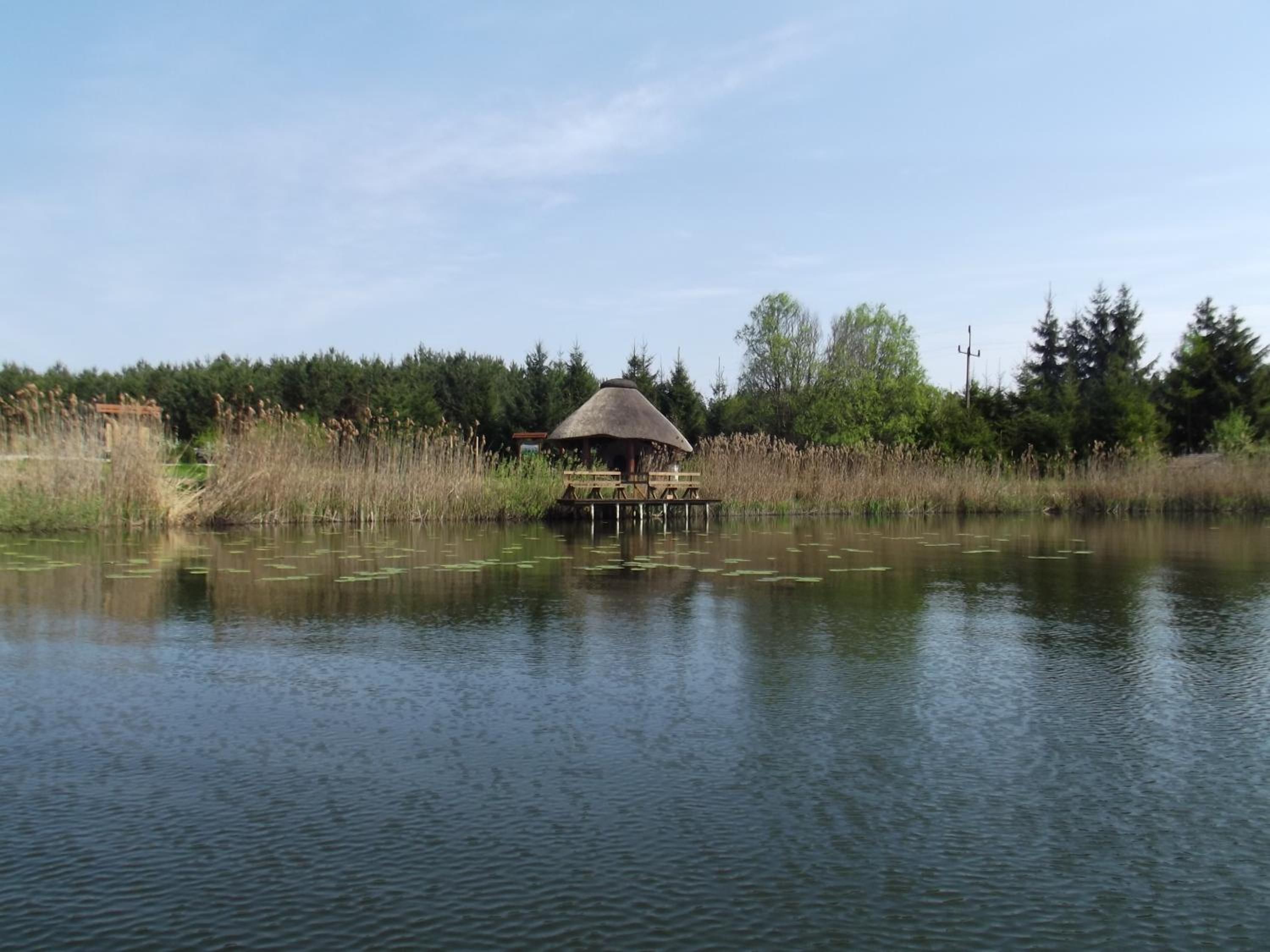 Photo 33