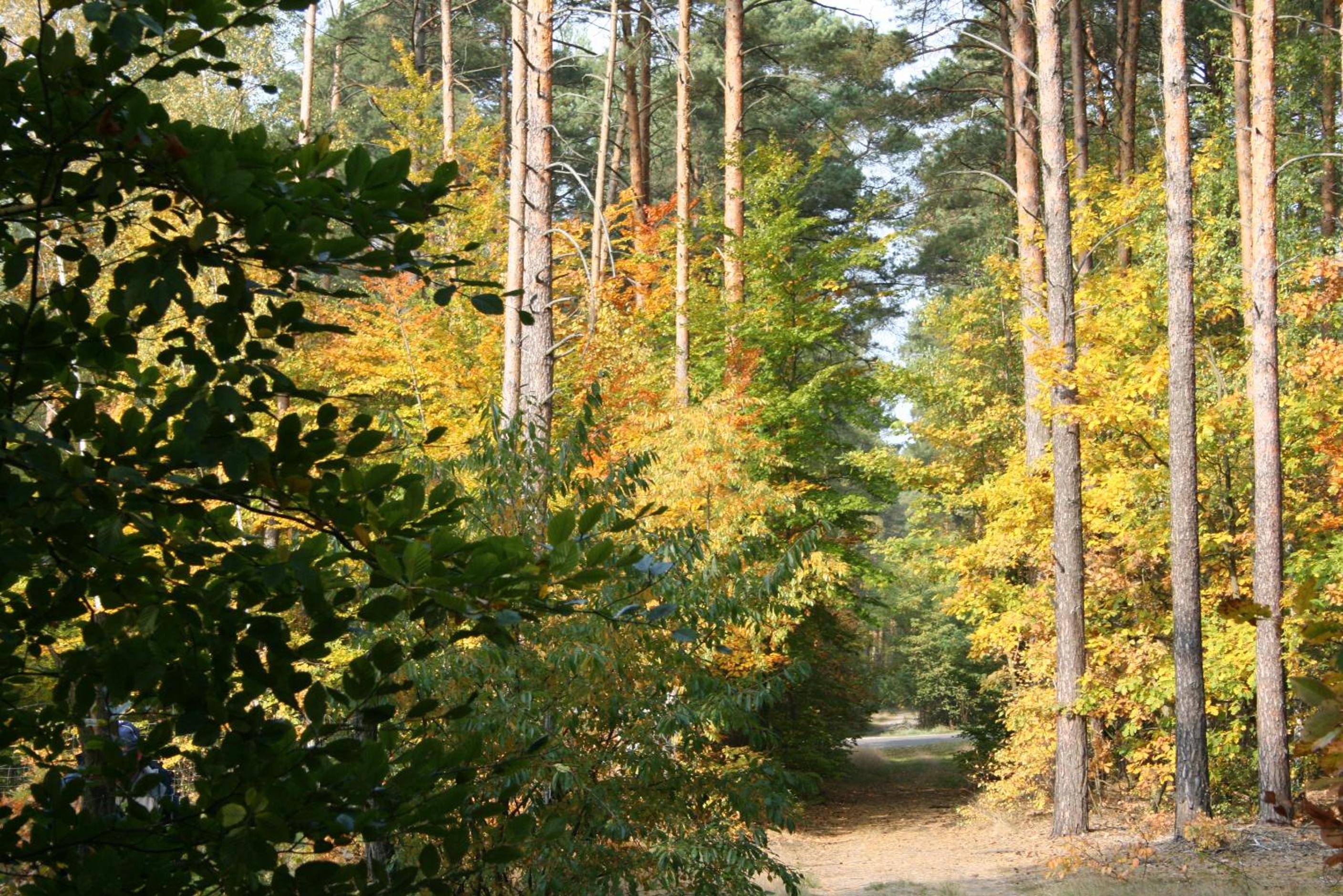 Photo 26
