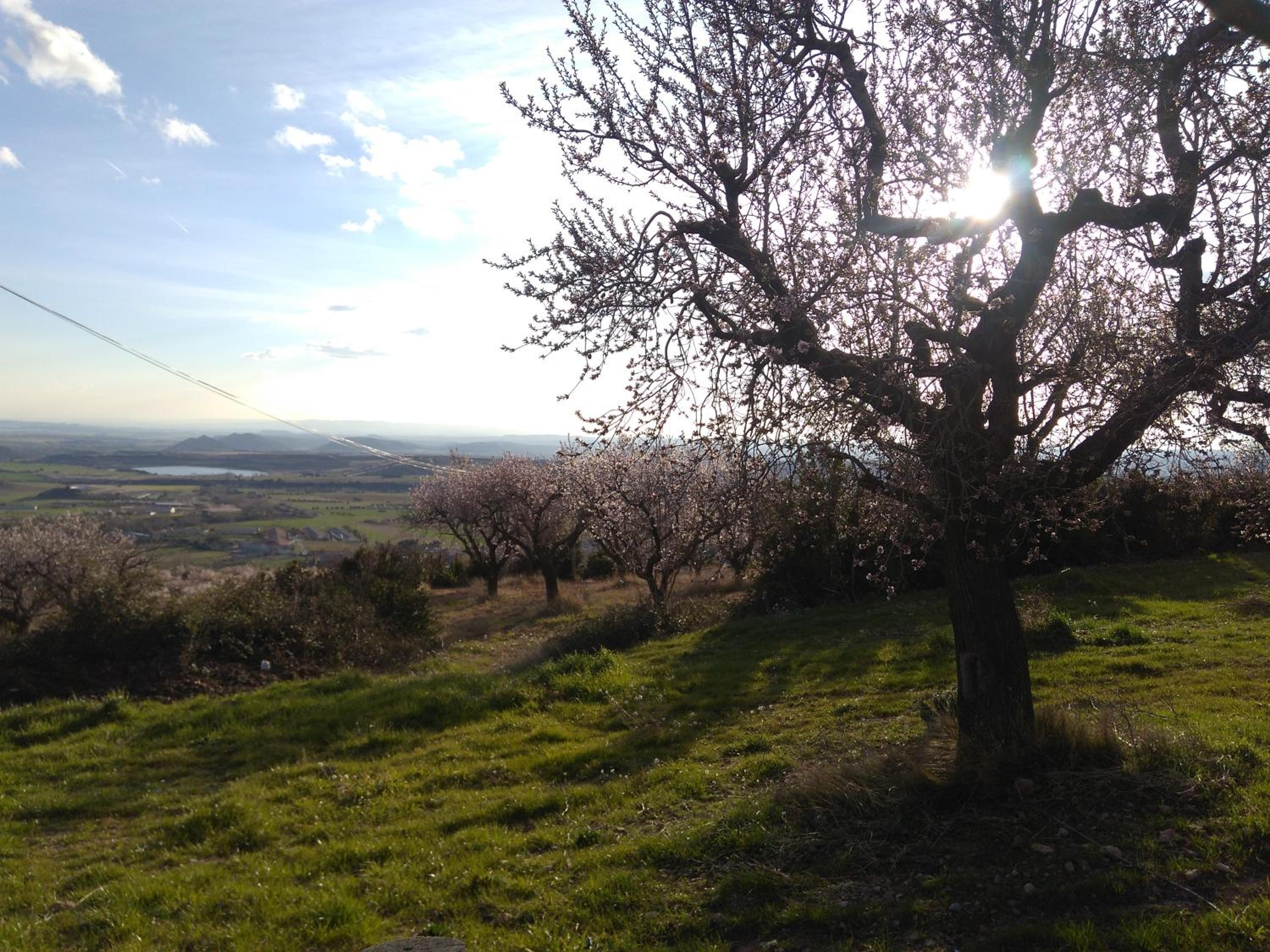 Camping Castillo de Loarre