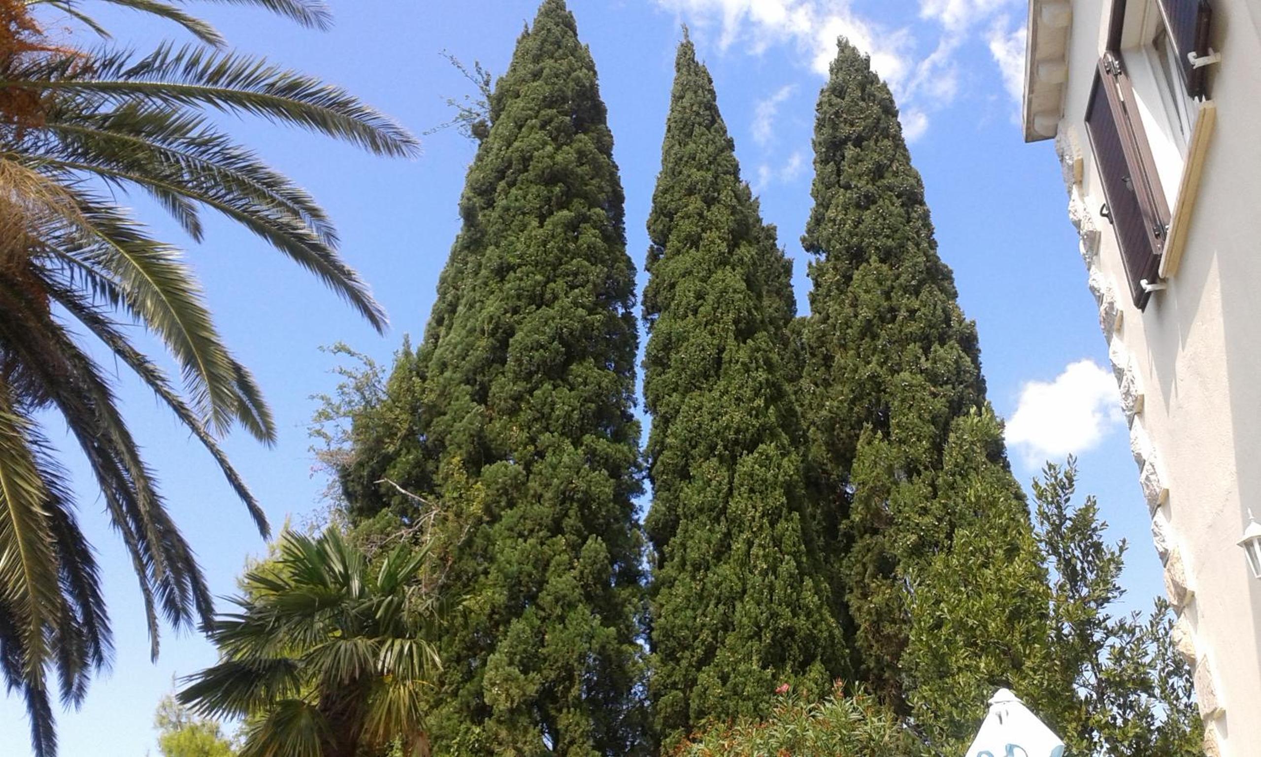 Photo 20