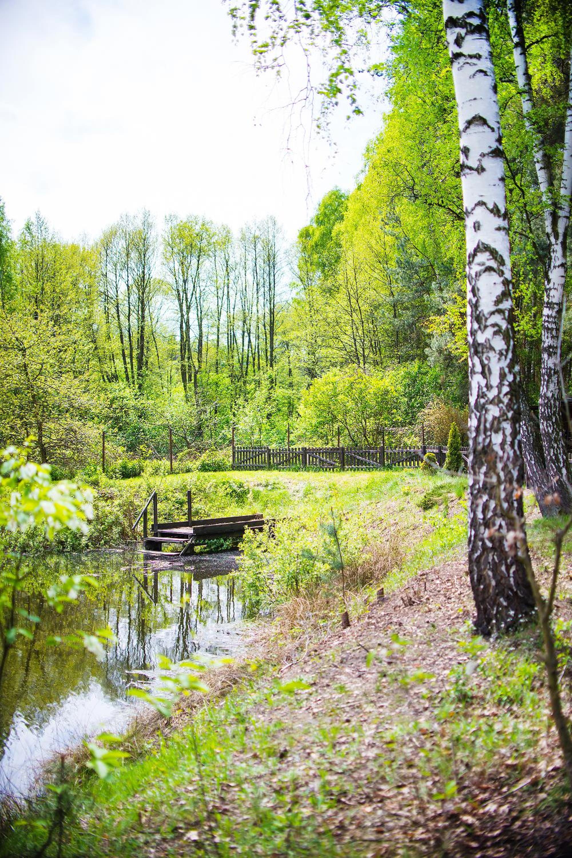 Kurort Mirowice-domek w lesie, z balią z jacuzzi i hydromasażem view 3