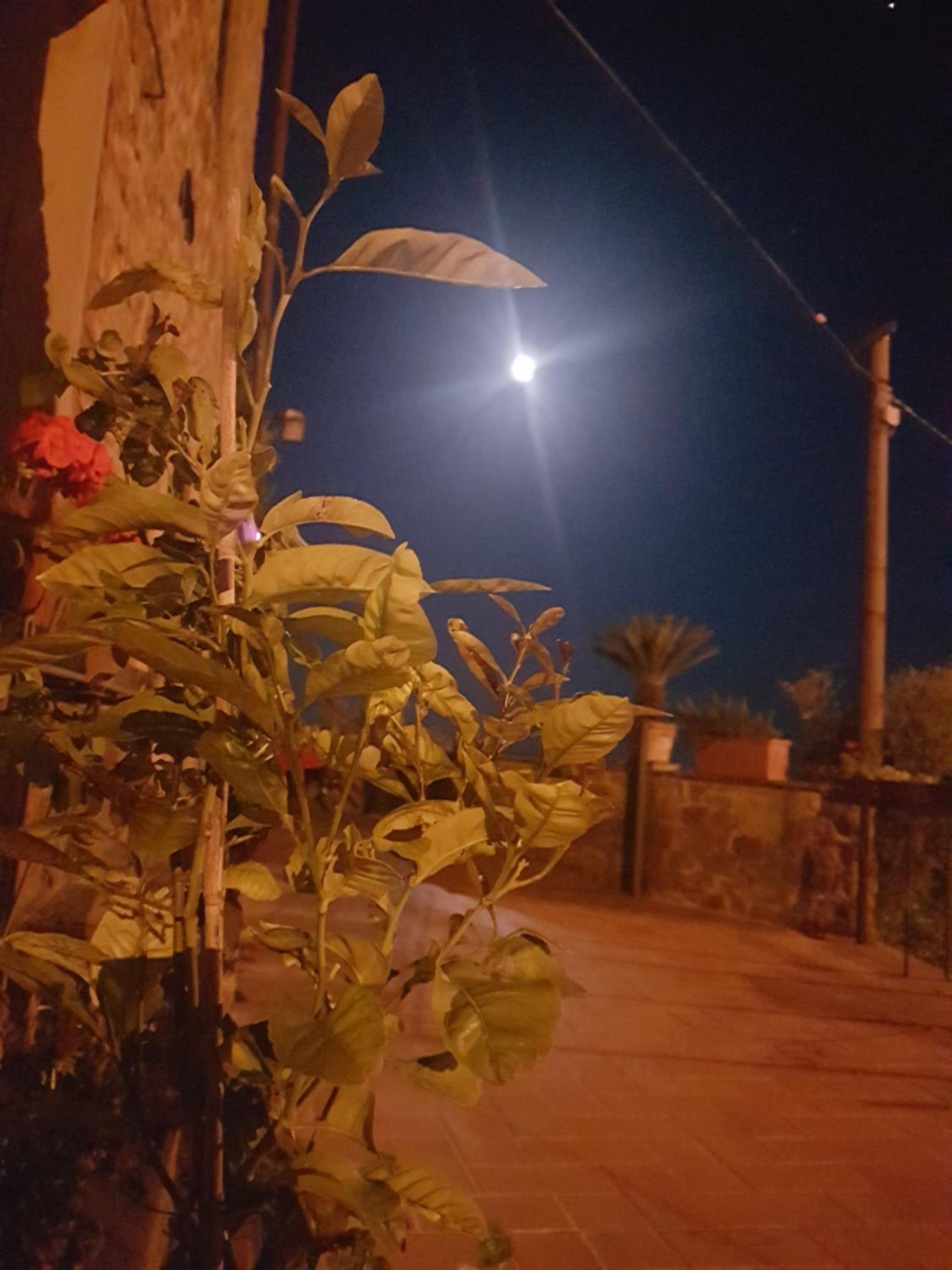 Affittacamere Adri, photo 36