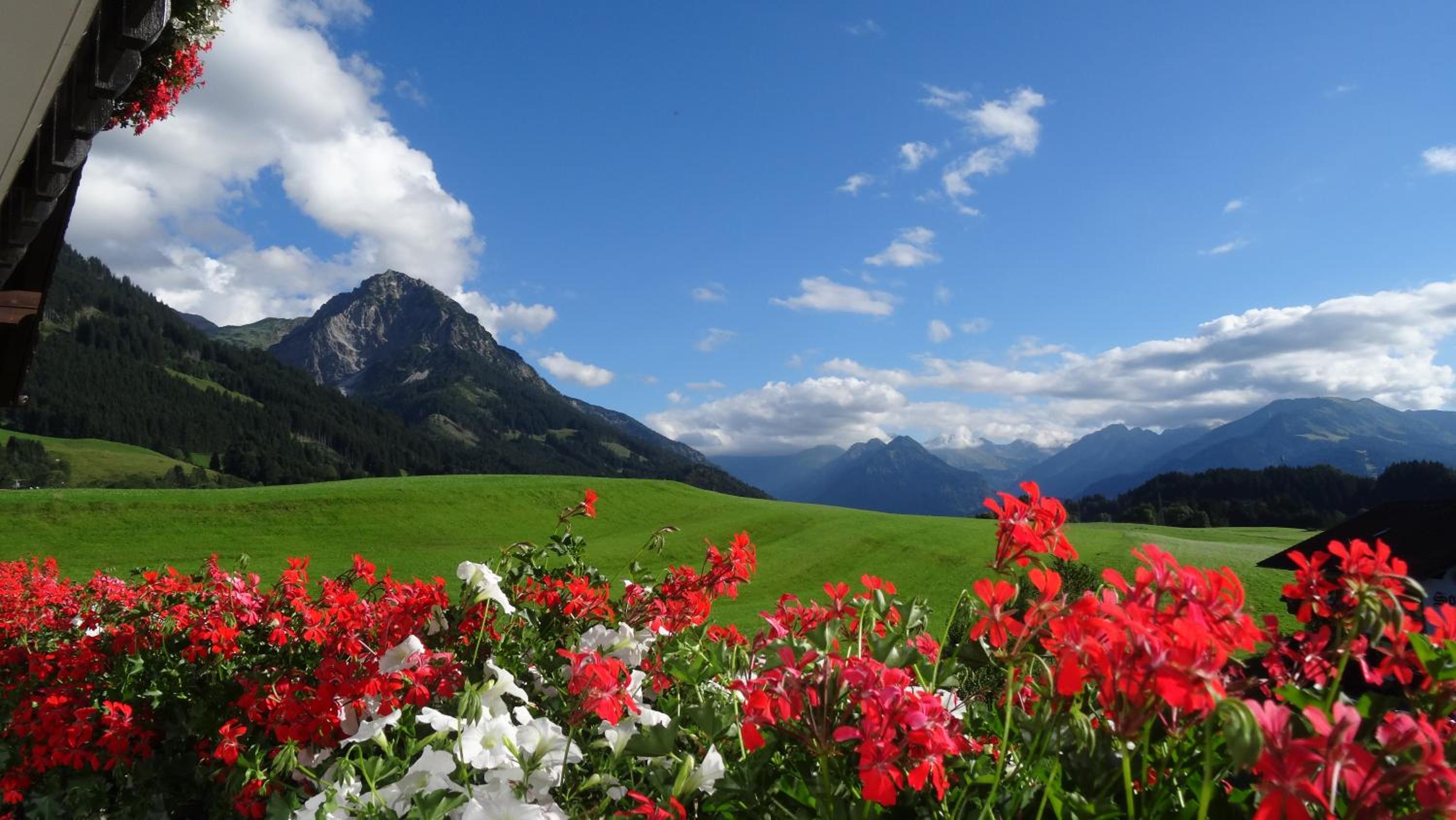 Ferienwohnungen Rotzler