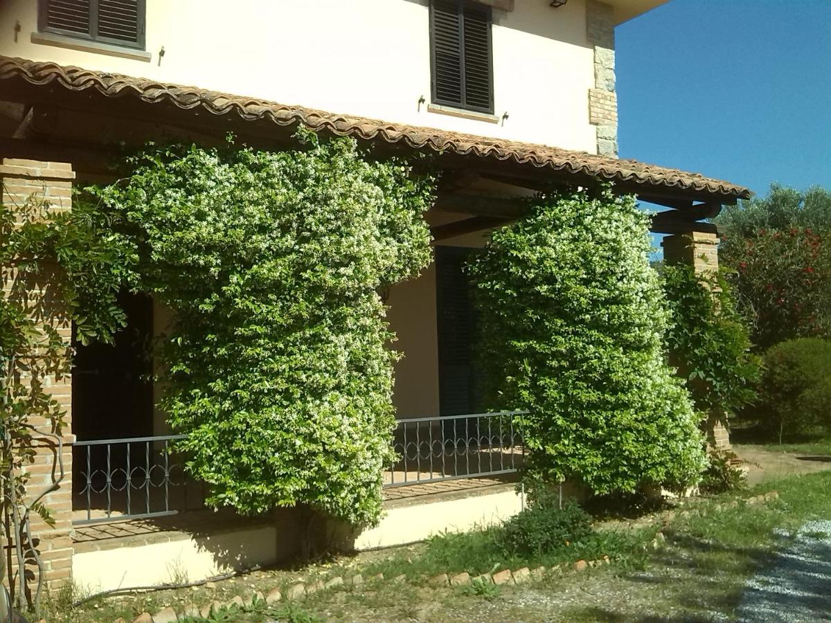 Pathirion b&b