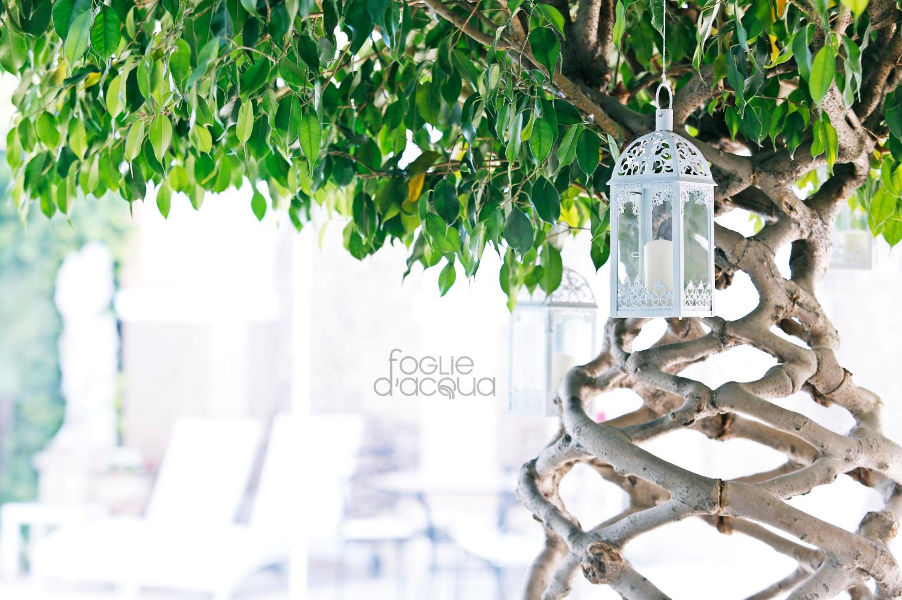 Foglie D' Acqua