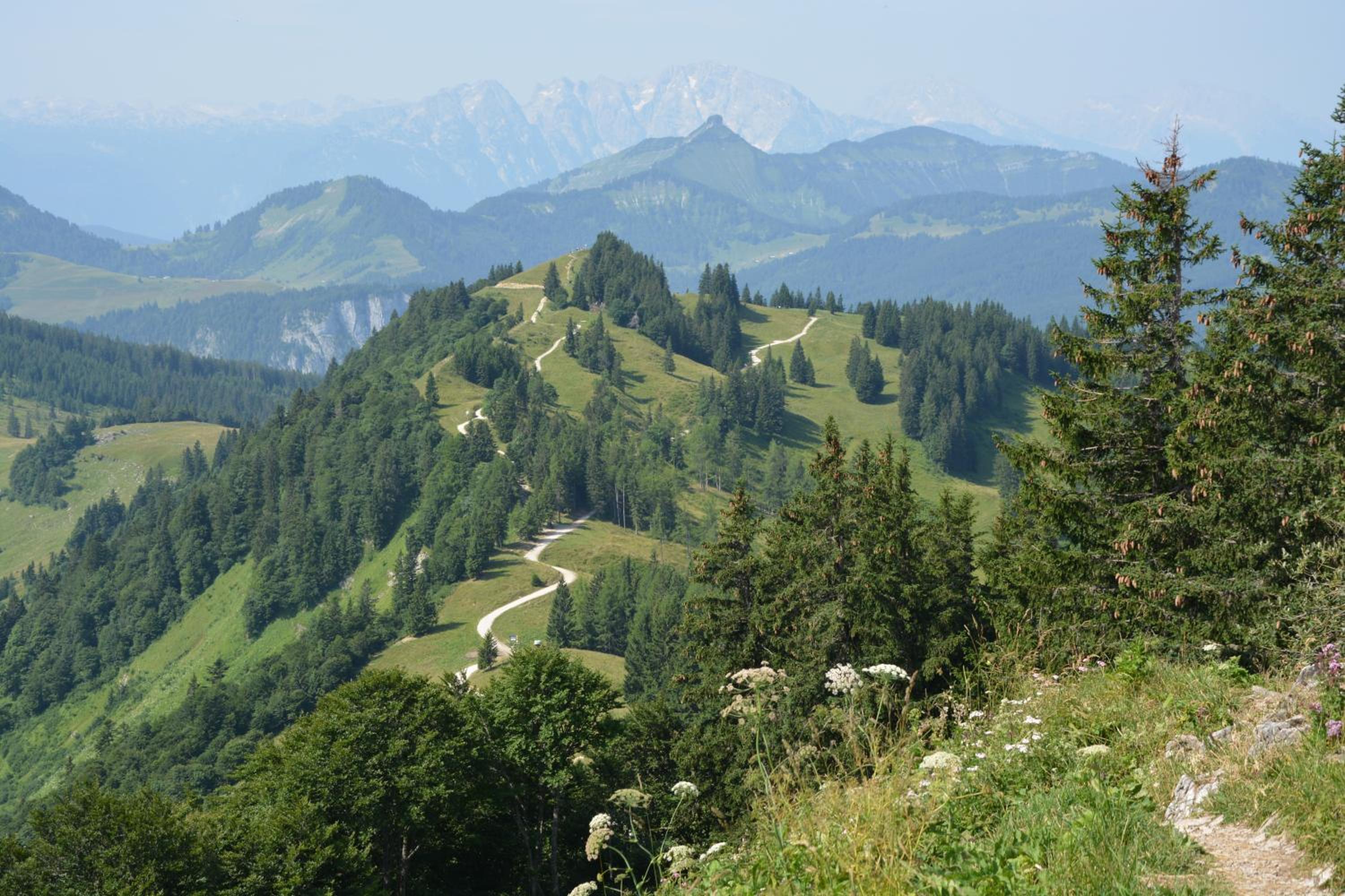 Photo 21
