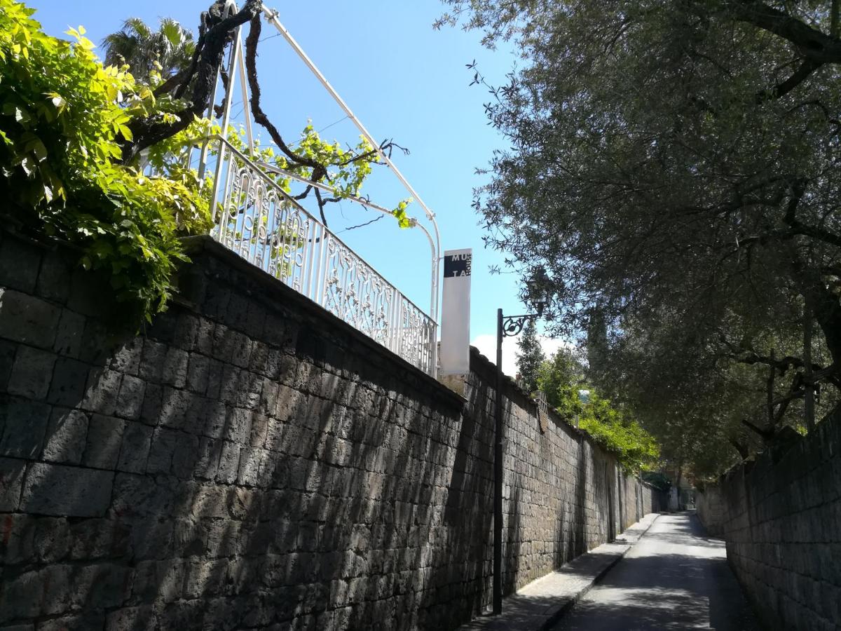Muta House photo 2