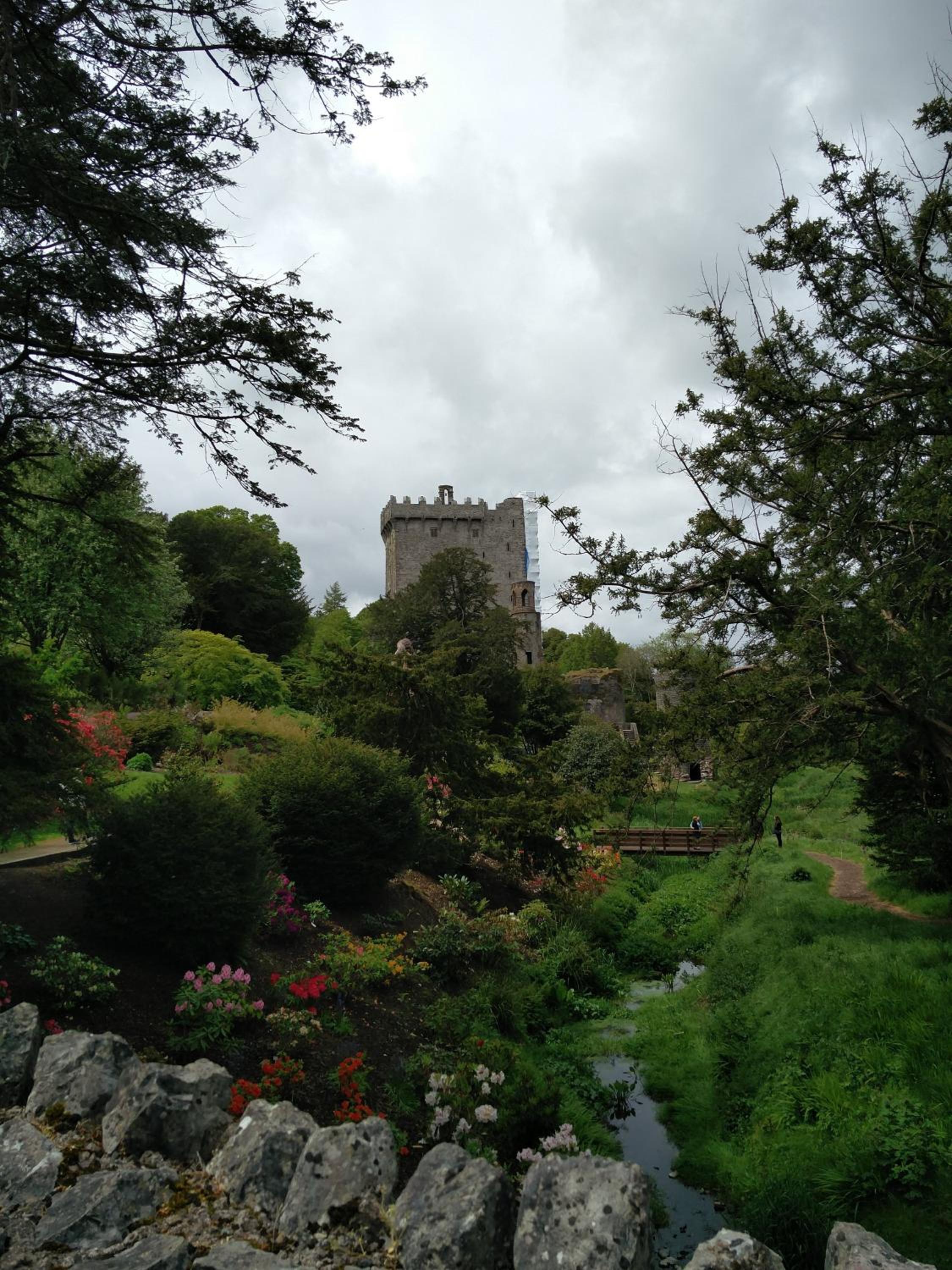 Foxhollow House