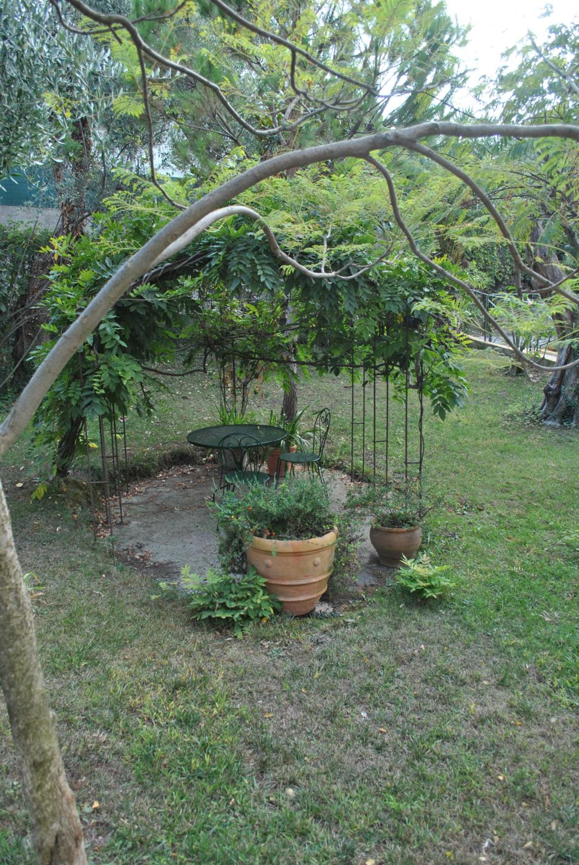 Photo 43