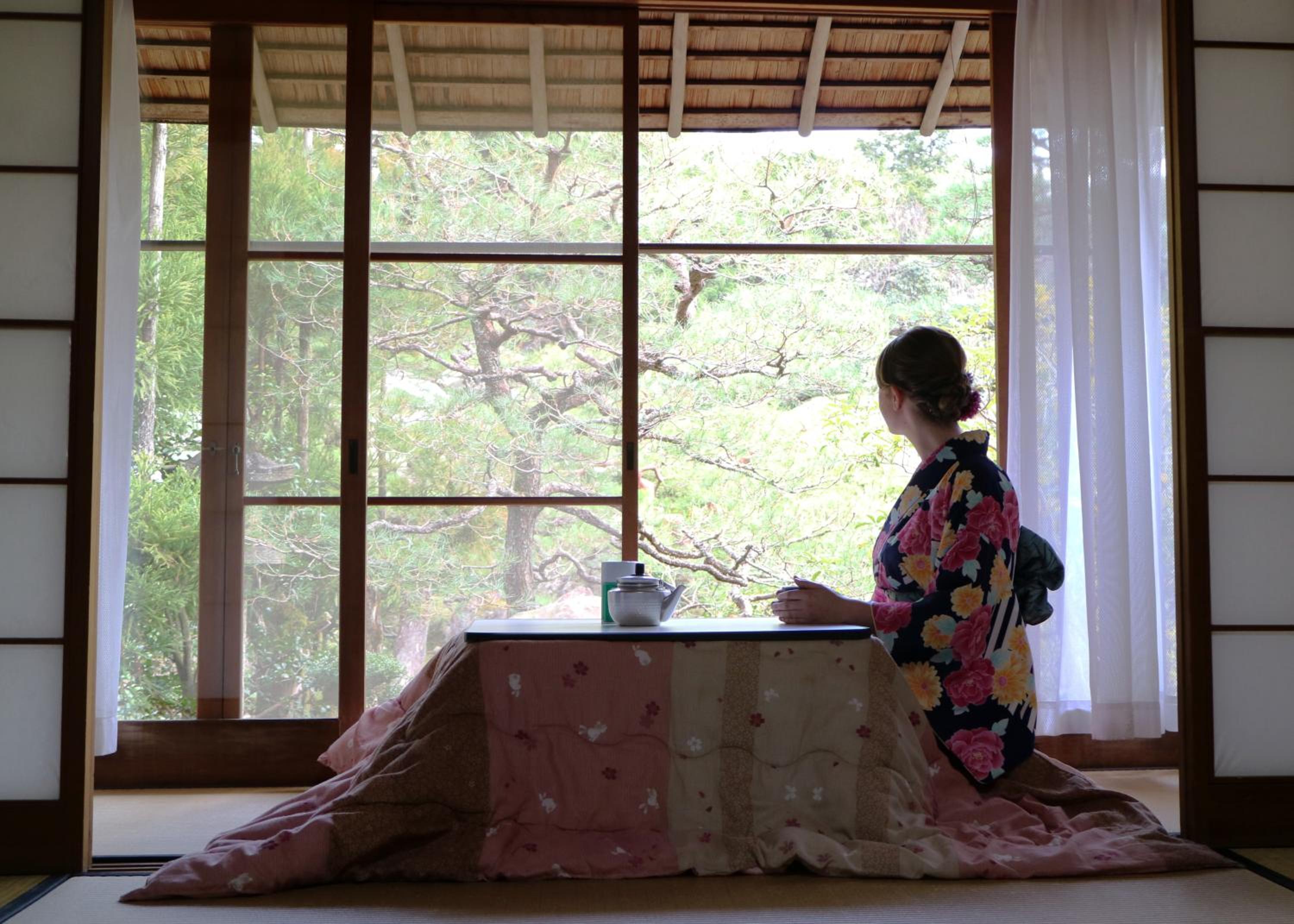 Ryokan Yamazaki view 3