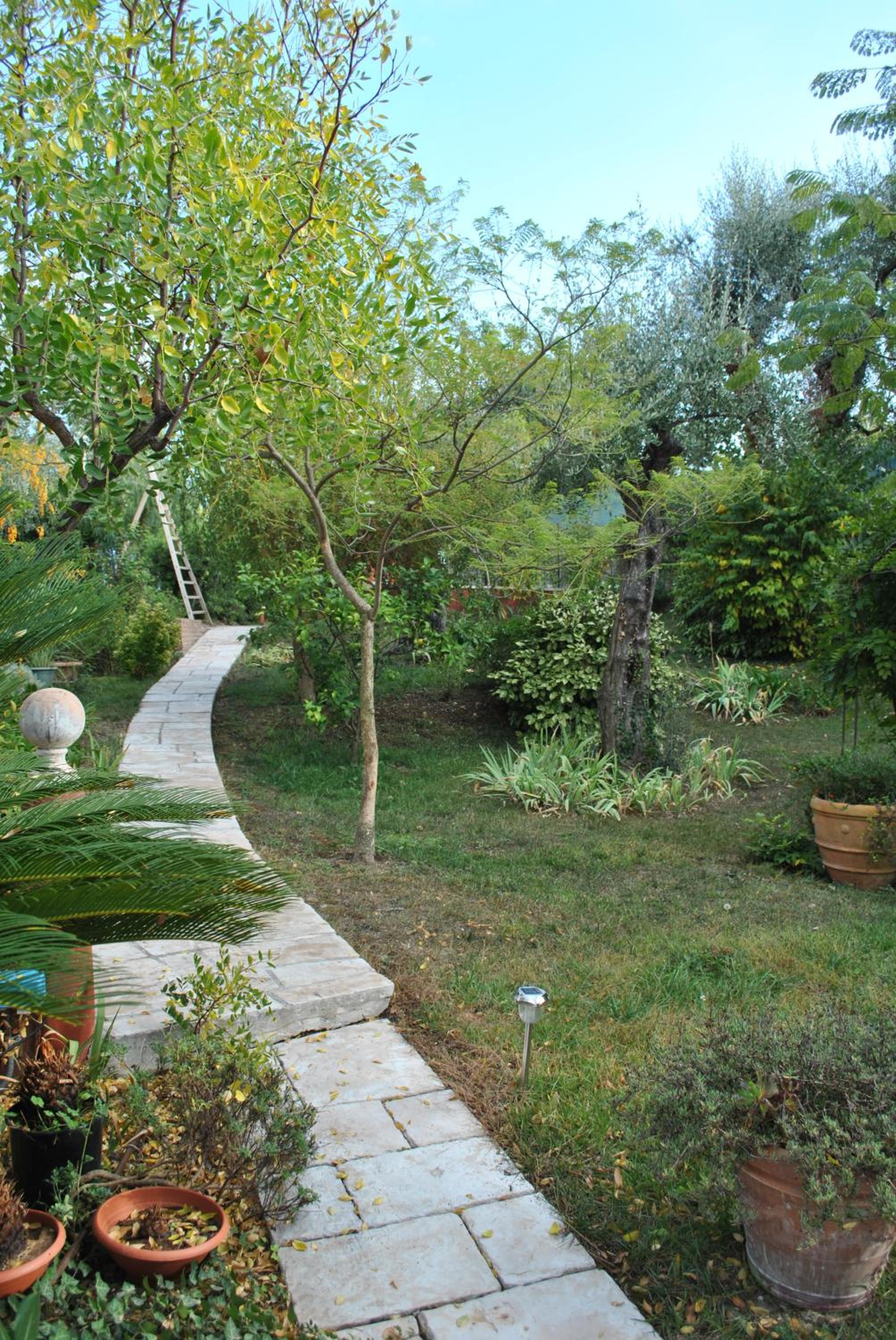 Photo 38