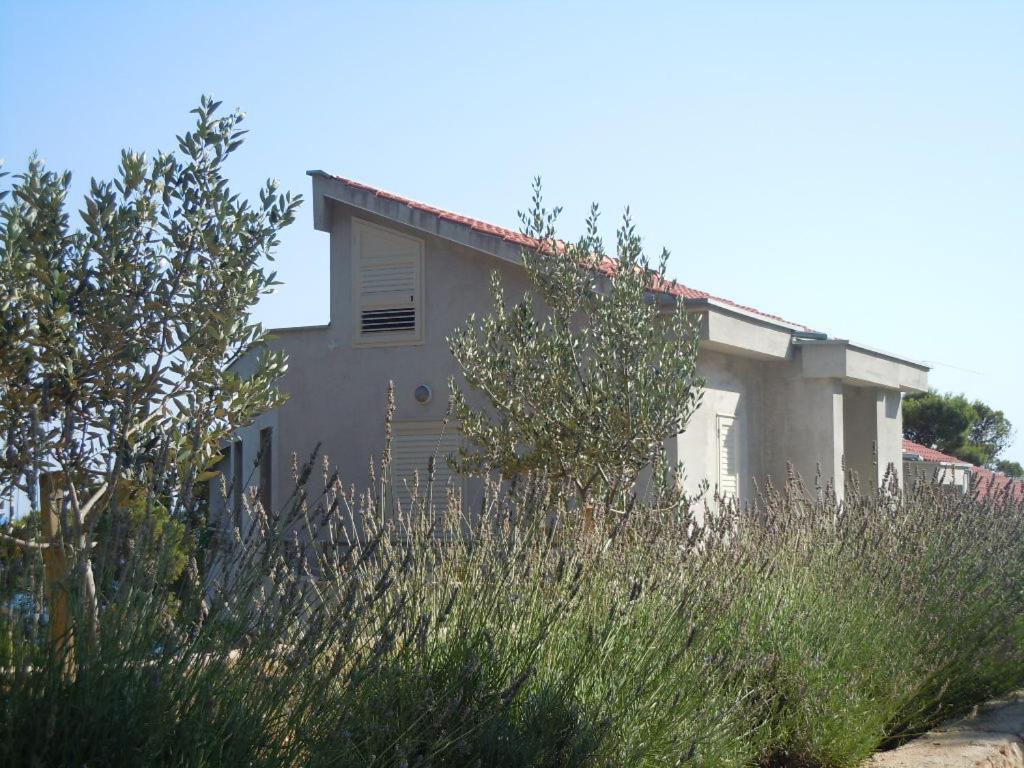 Apartments Tri sestrice