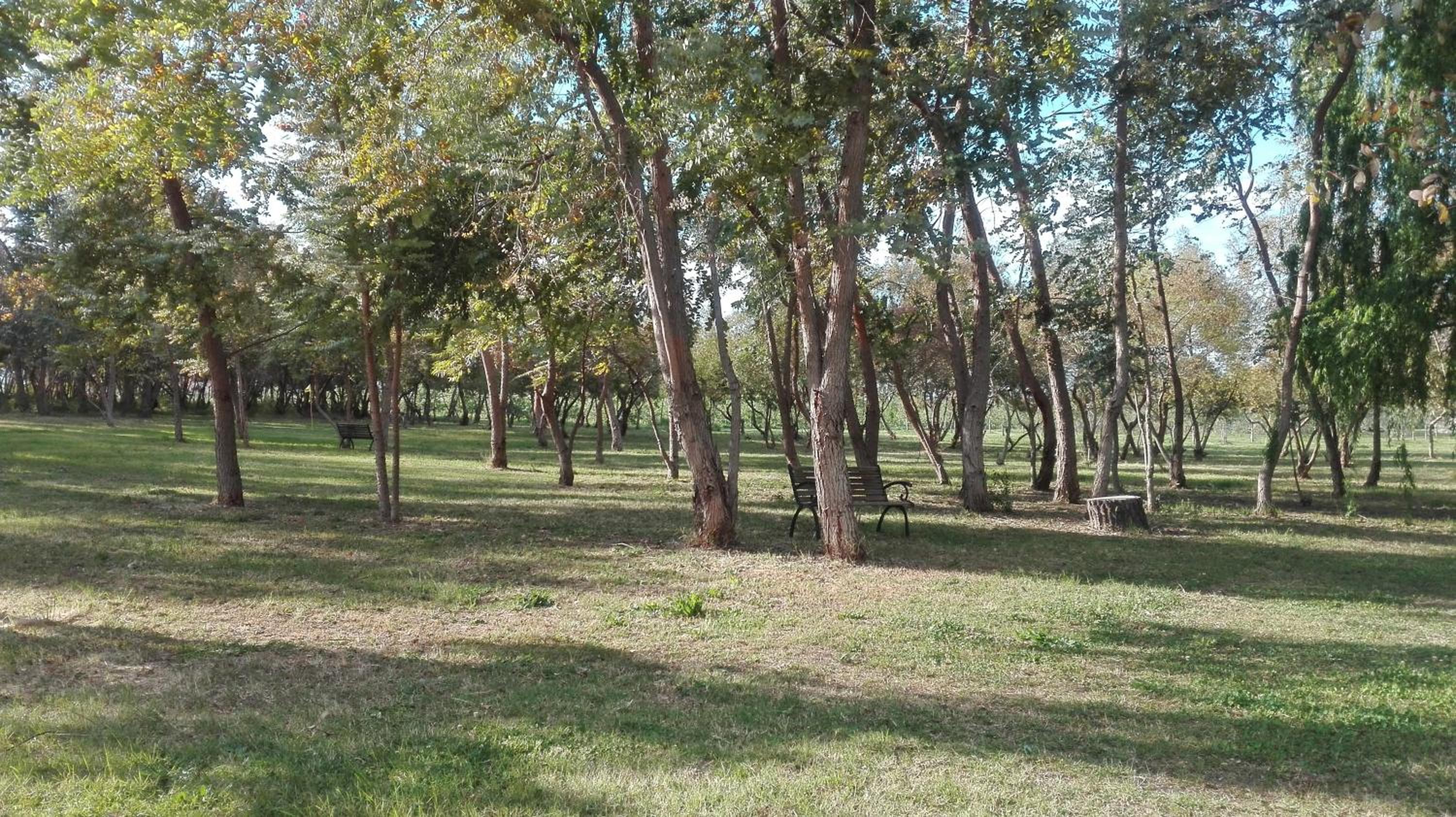 Agriturismo Lupo Cerrino